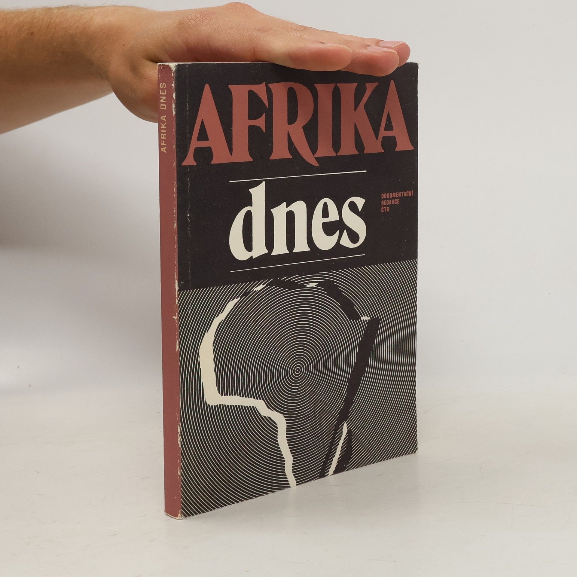 kolektiv Afrika dnes