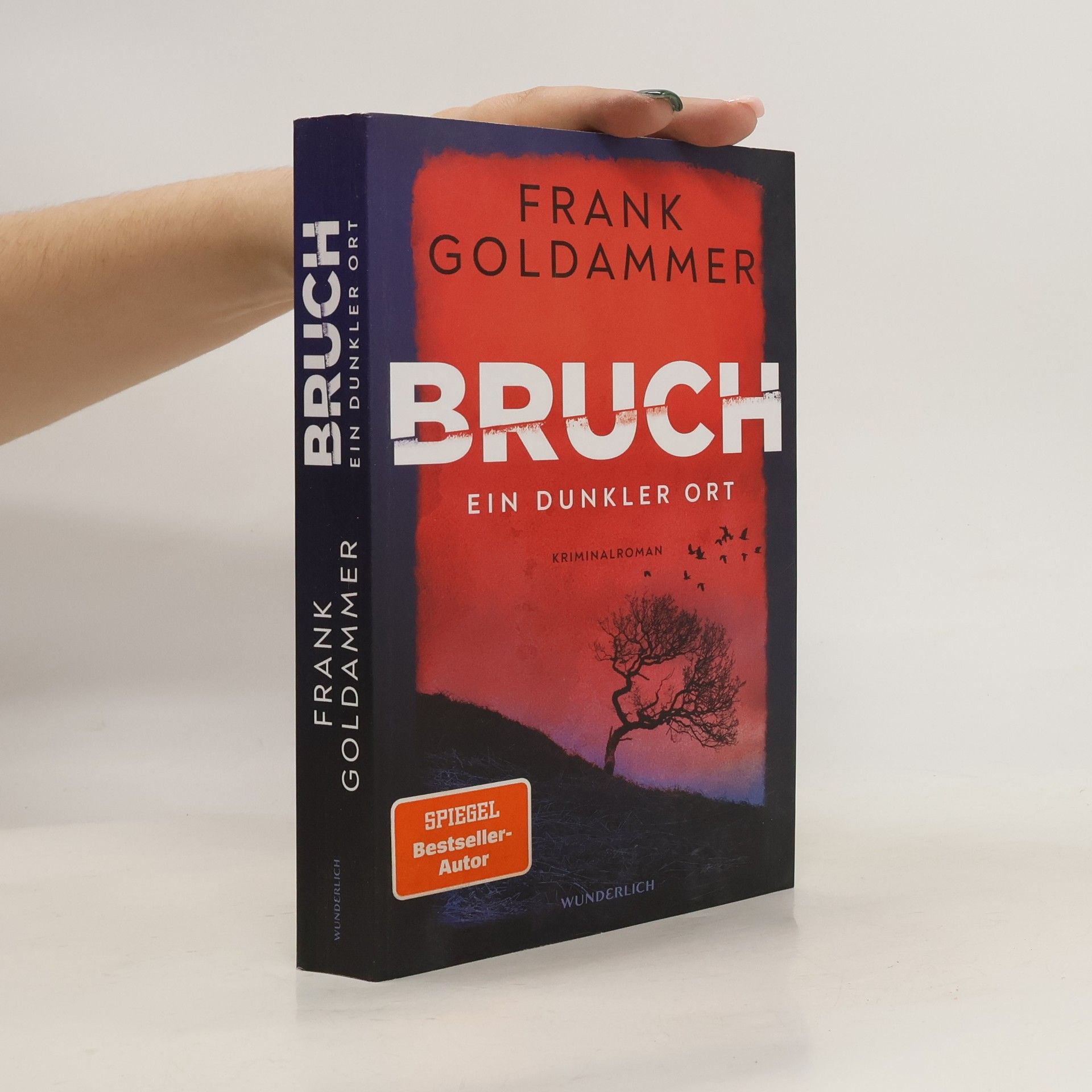 Frank Goldammer Bruch - ein dunkler Ort