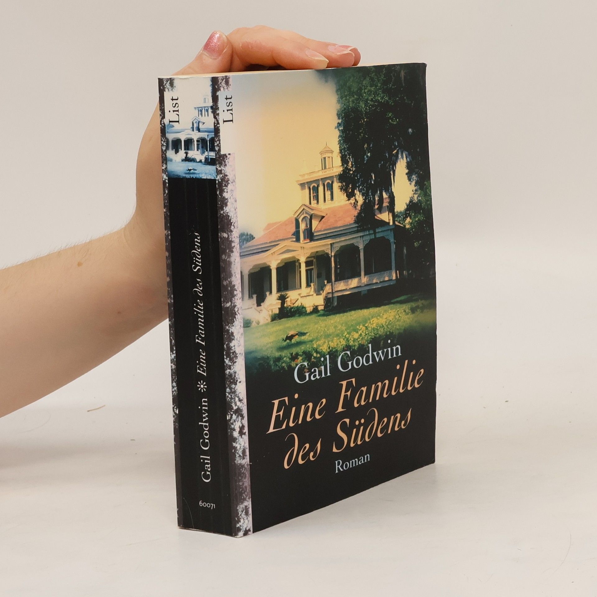 Gail Godwin Eine Familie des Südens