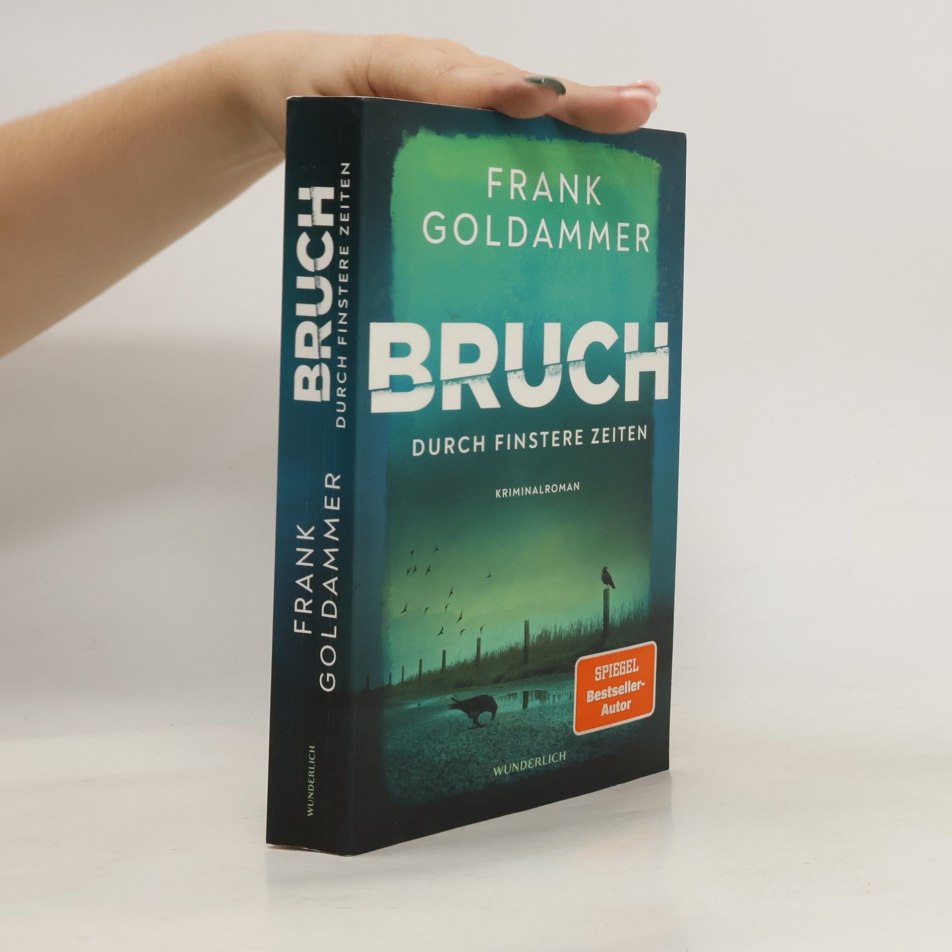 Frank Goldammer Bruch: Durch finstere Zeiten