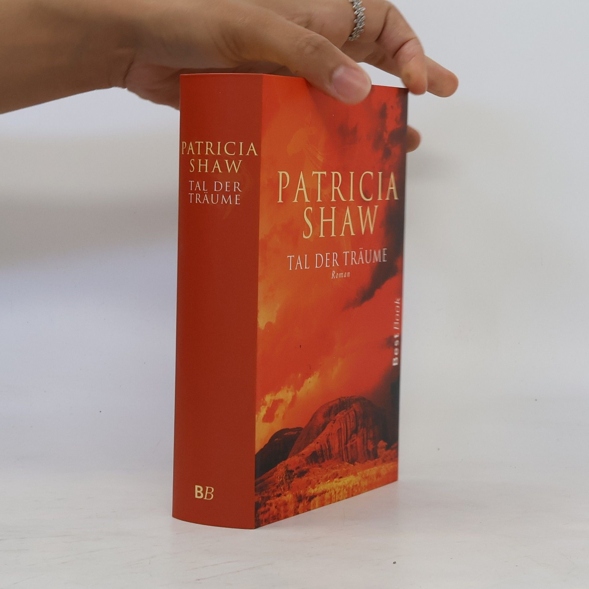 Patricia Shaw Tal der Träume