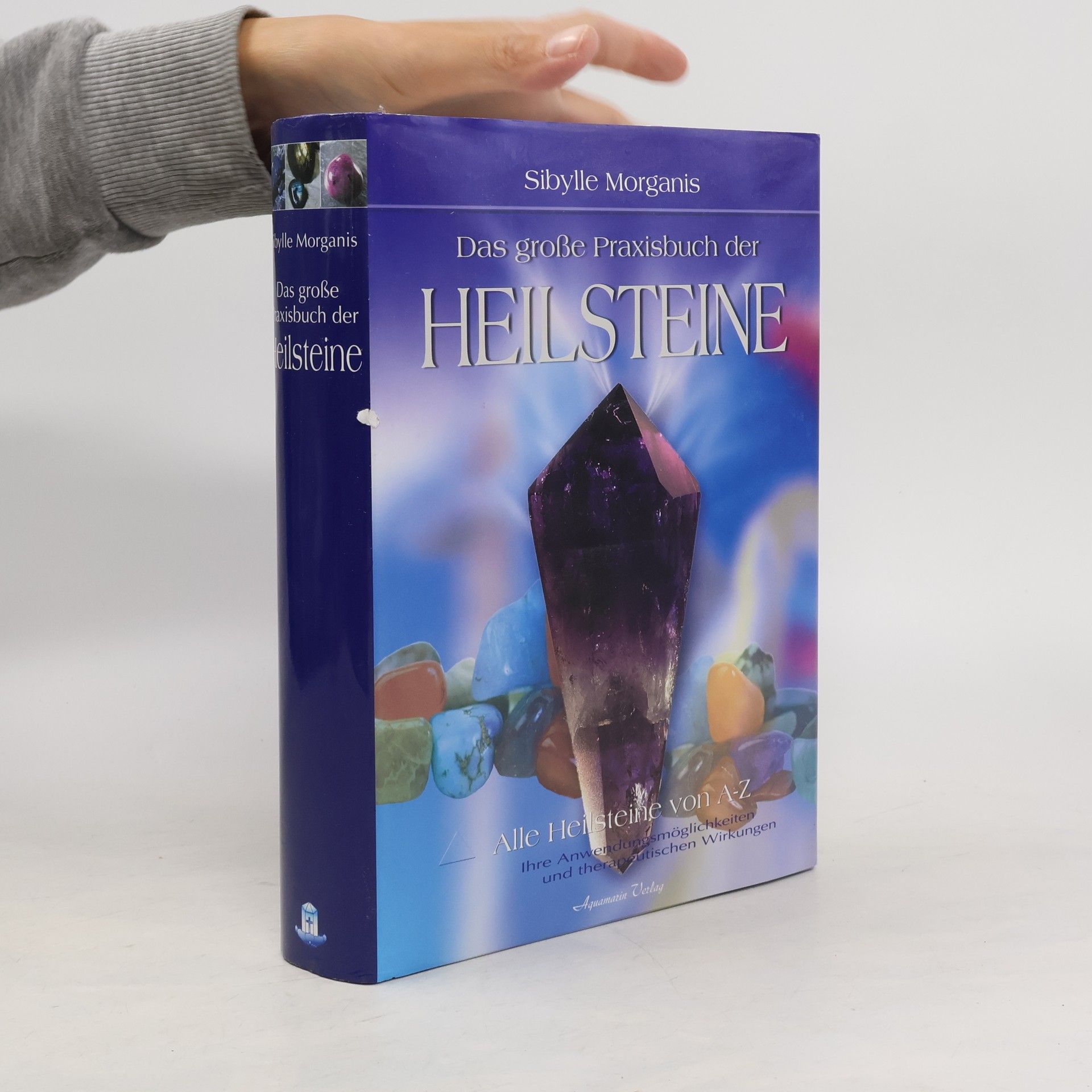 Sibylle Morganis Das große Praxisbuch der Heilsteine