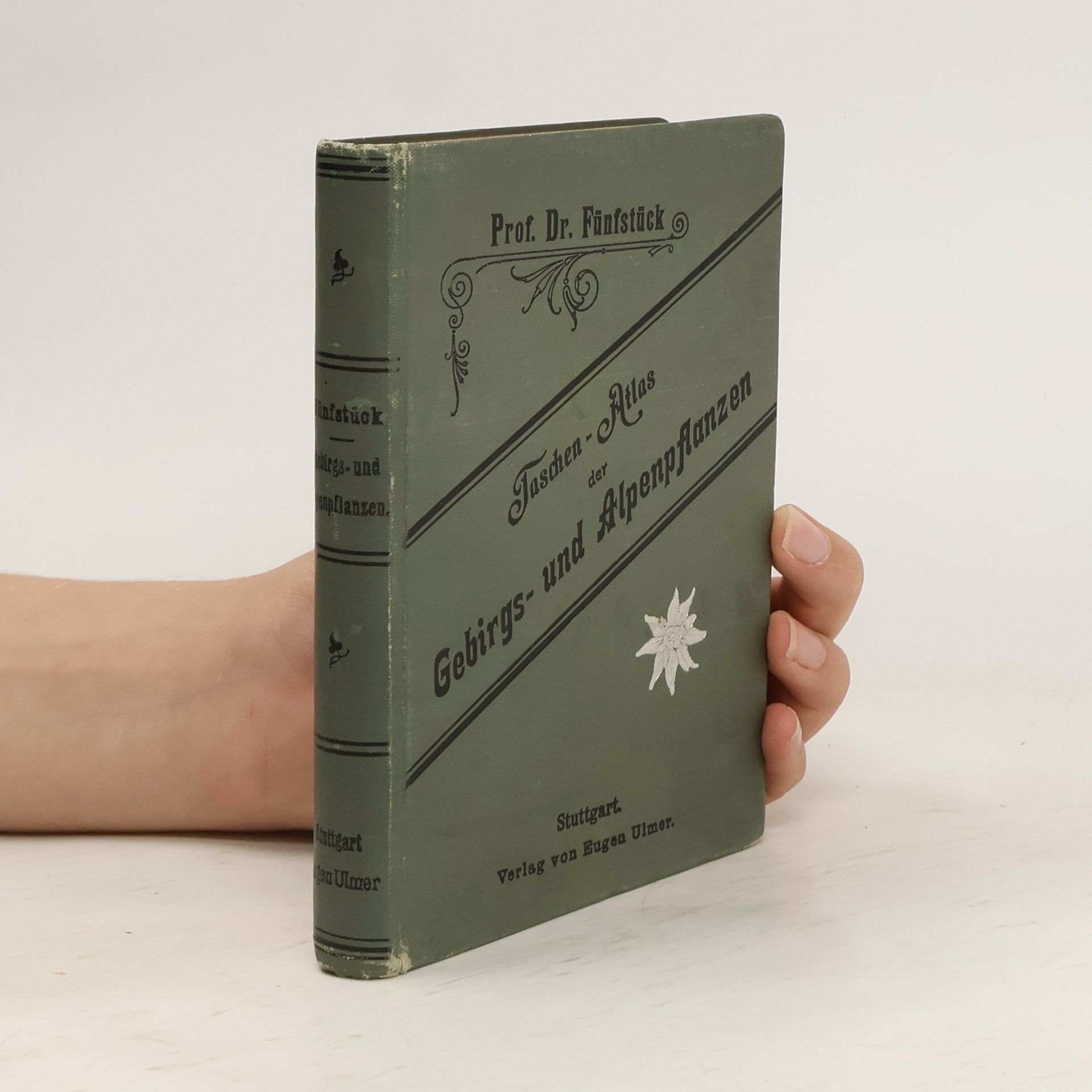 Moritz Fünfstück Taschenatlas der Gebirgs- und Alpenpflanzen