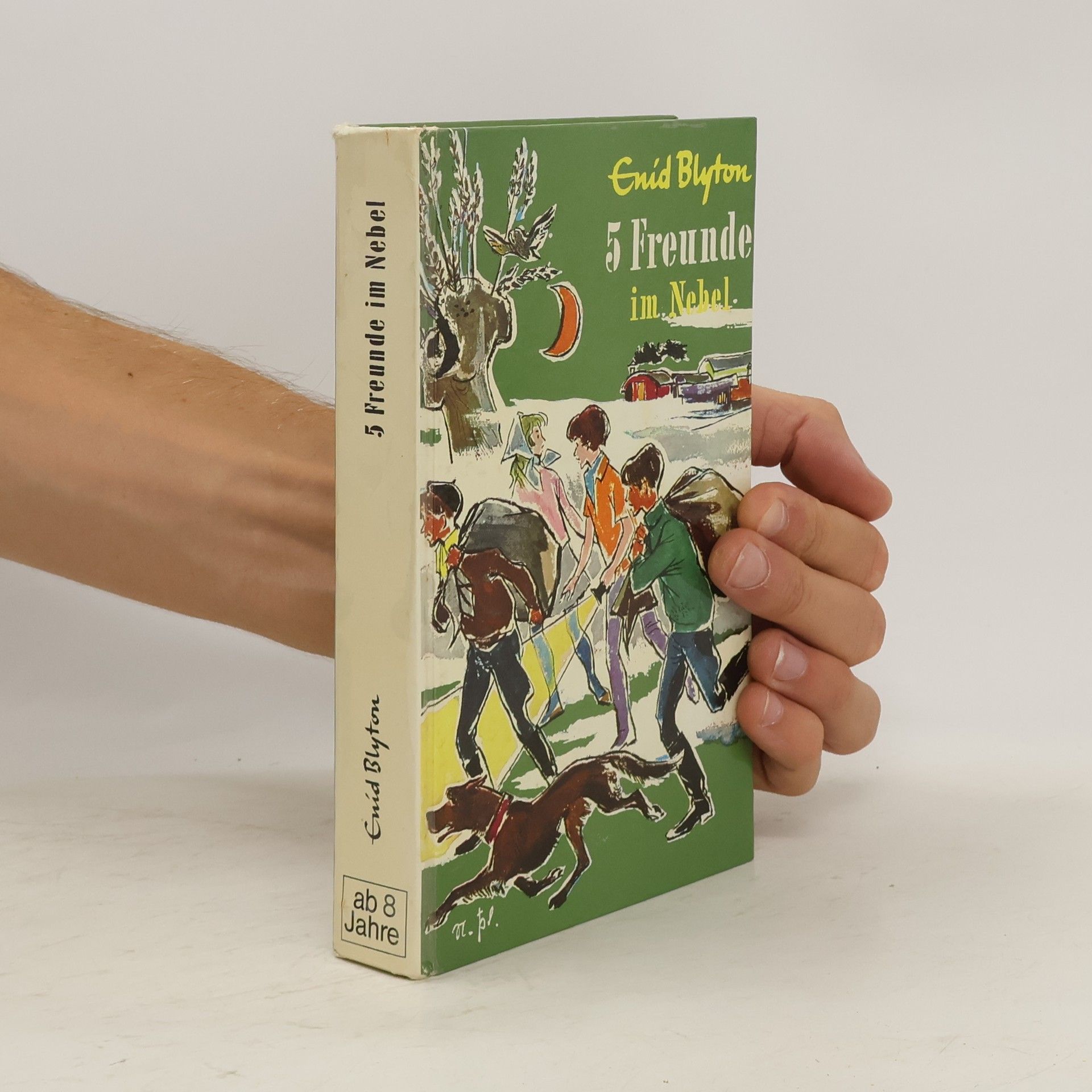 Enid Blyton 5 Freunde im Nebel