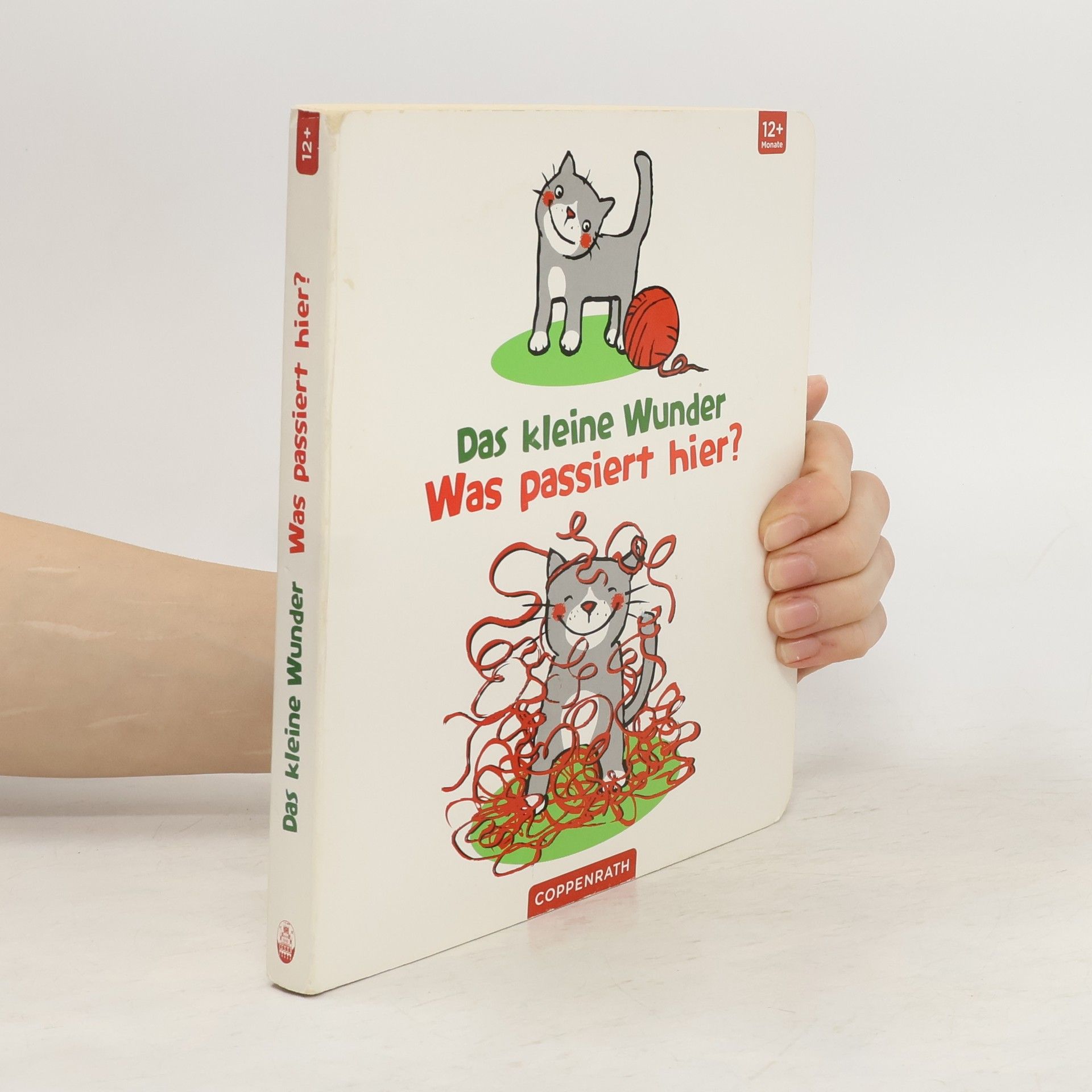 Anna Taube Das kleine Wunder. Was passiert hier?