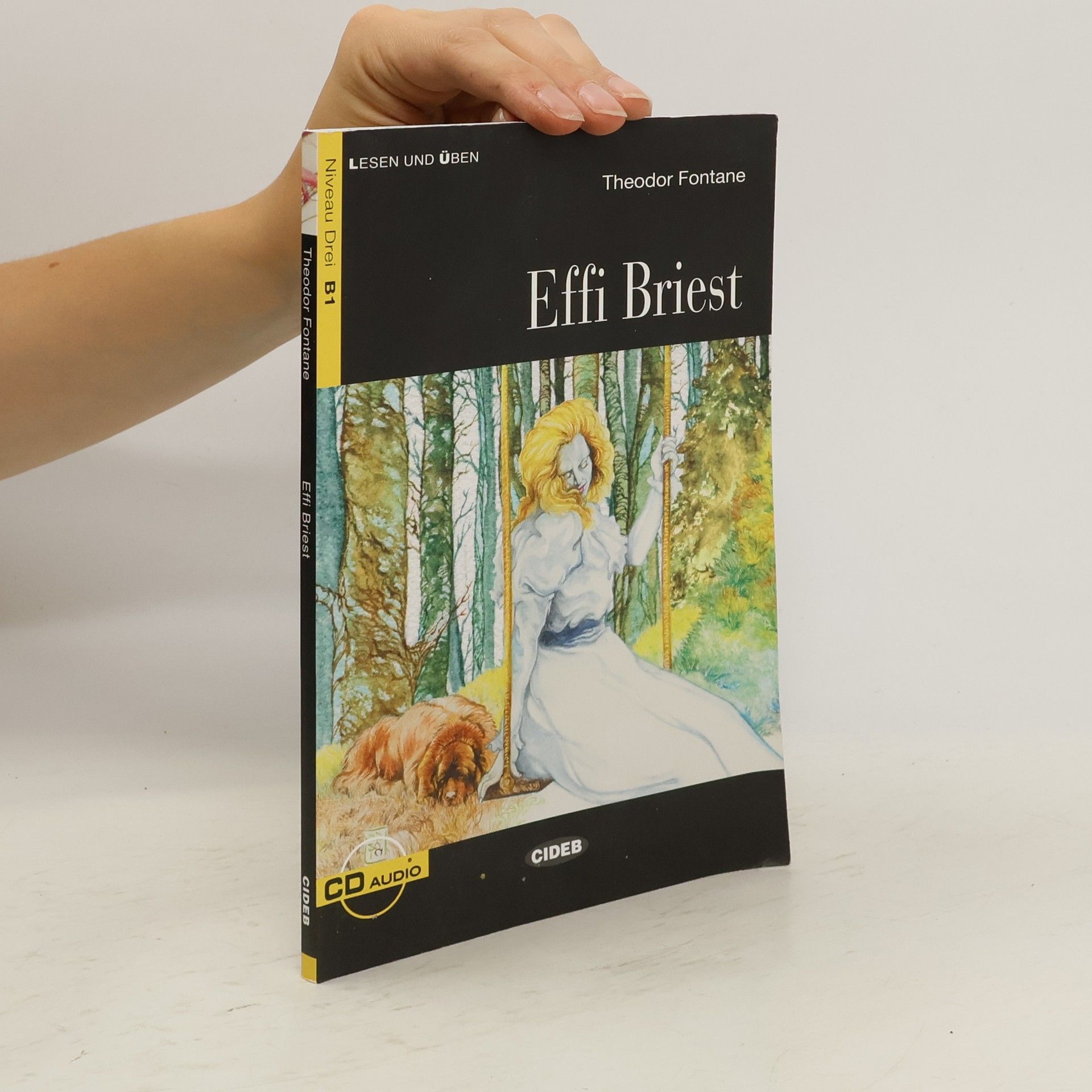 Theodor Fontane Effi Briest, m. Audio-CD