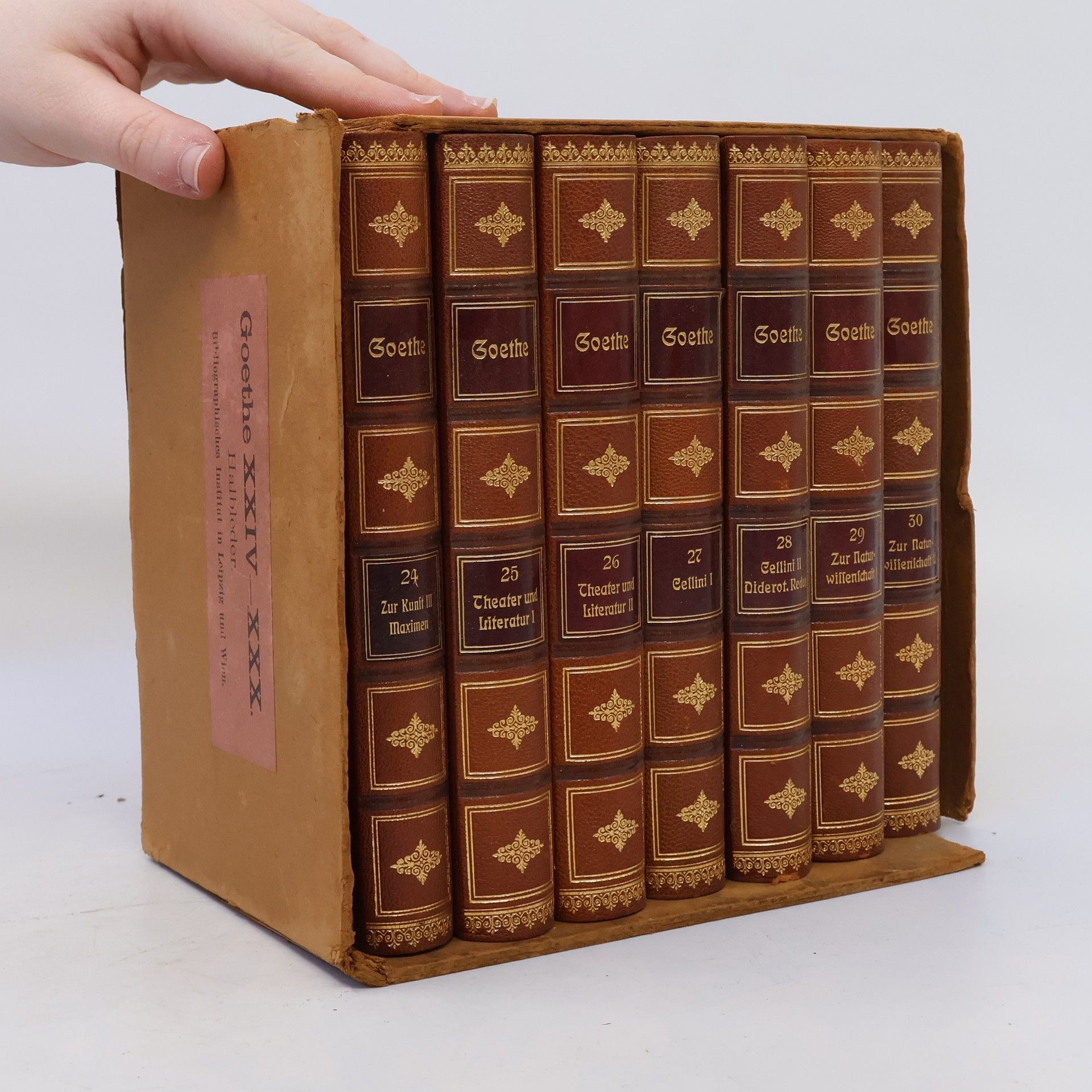 Johann Wolfgang von Goethe Goethe Werke 24-30