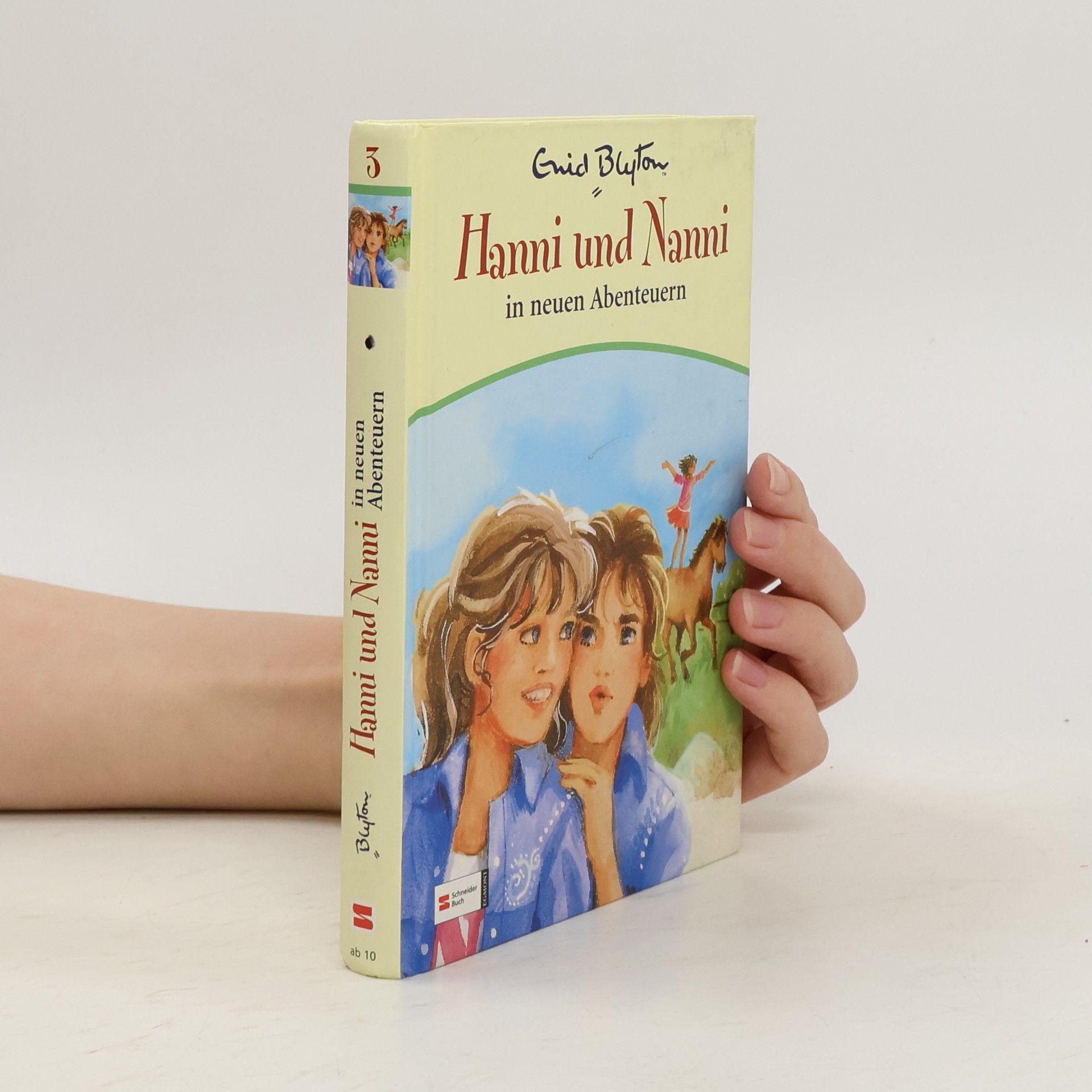 Enid Blyton Hanni und Nanni in neuen Abenteuern