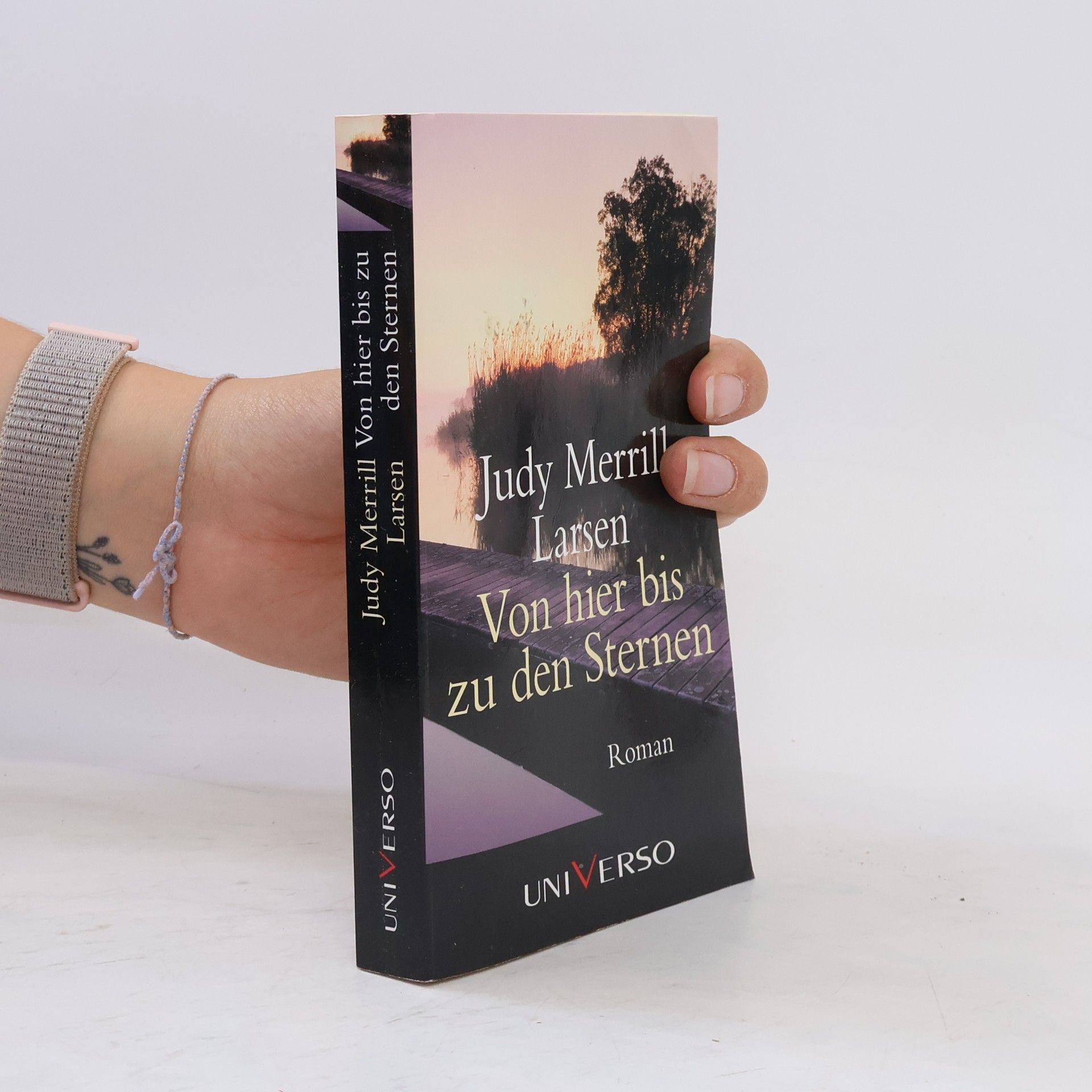 Judy Merrill Larsen Von hier bis zu den Sternen