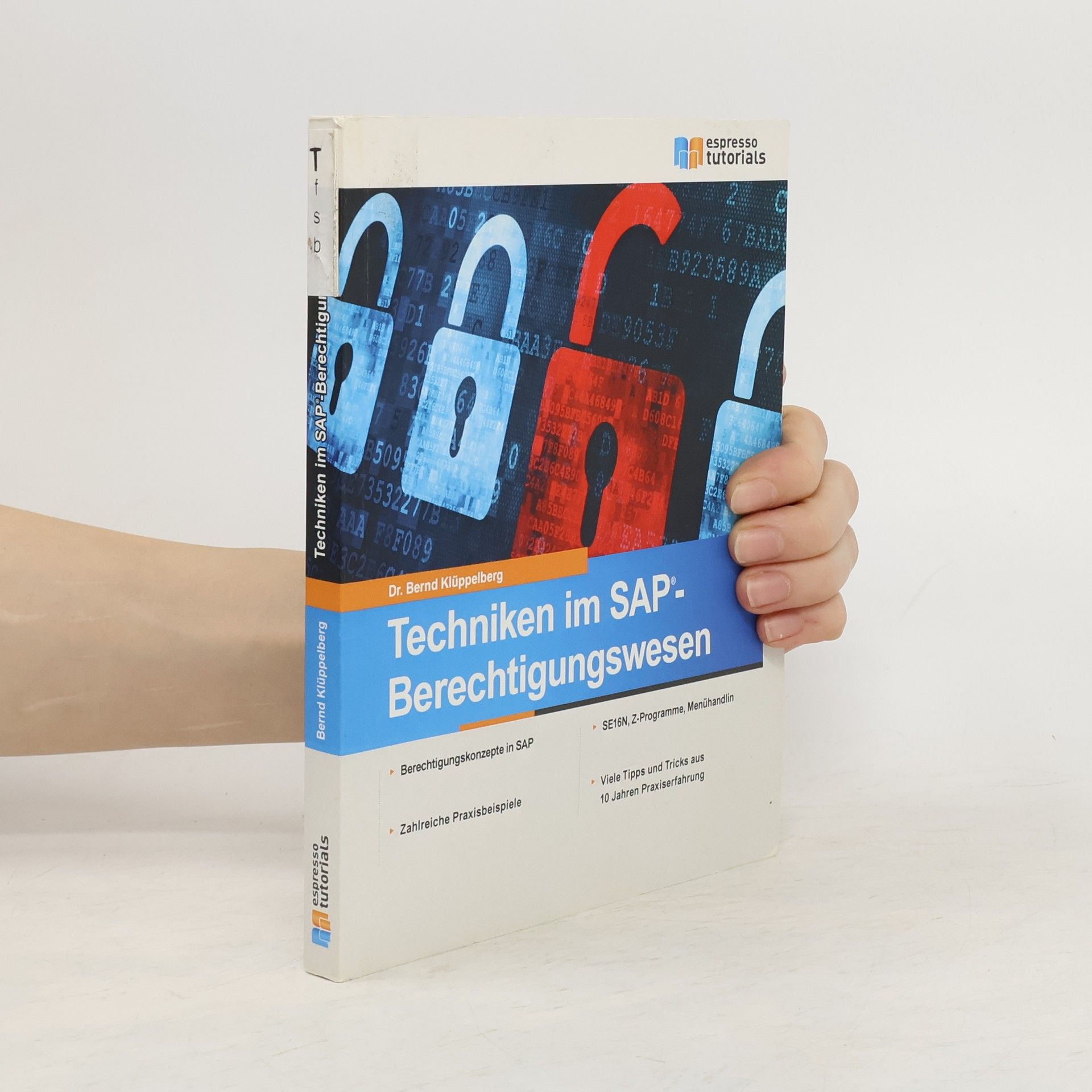 Bernd Klüppelberg Techniken im SAP-Berechtigungswesen