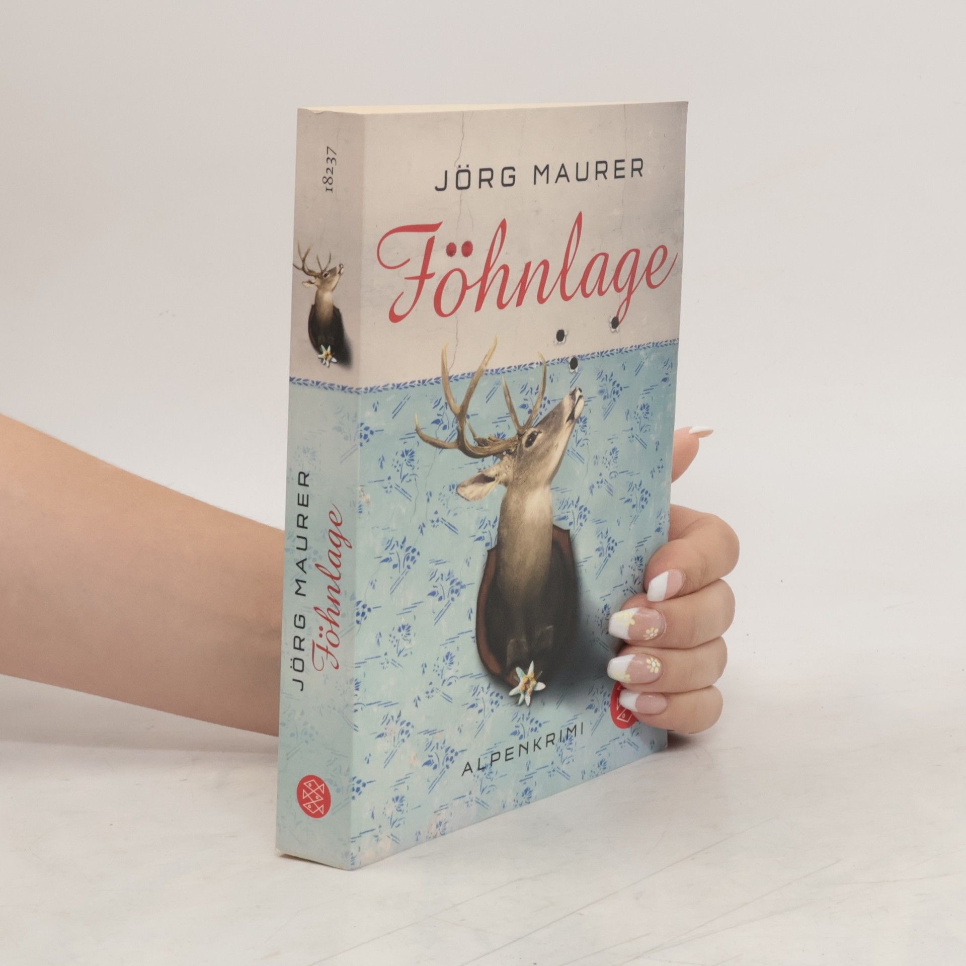 Jörg Maurer Föhnlage