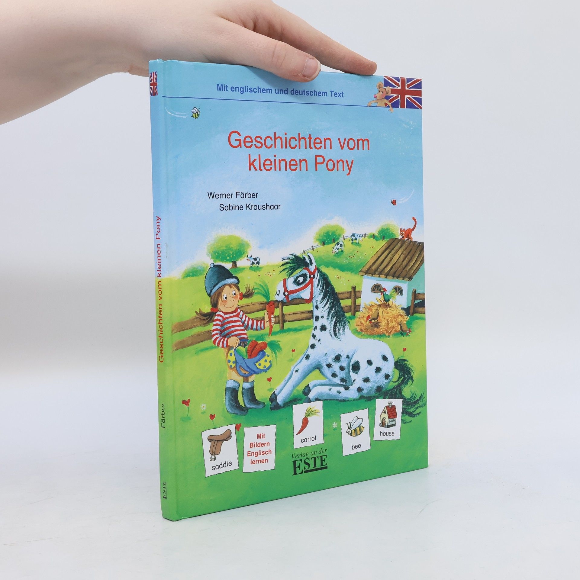 Autorenkollektiv Geschichten vom kleinen Pony