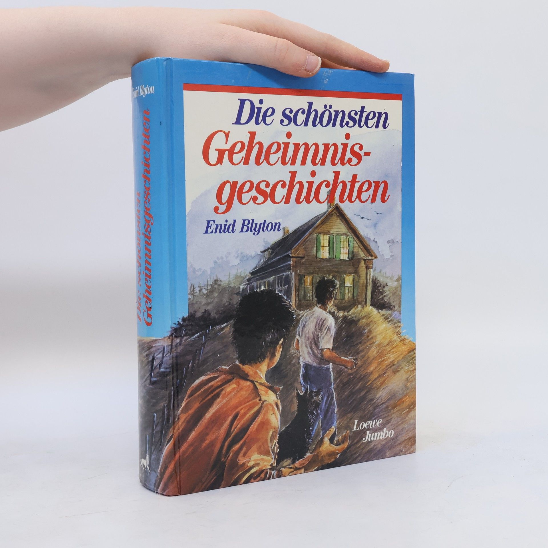 Enid Blyton Die schönsten Geheimnisgeschichten