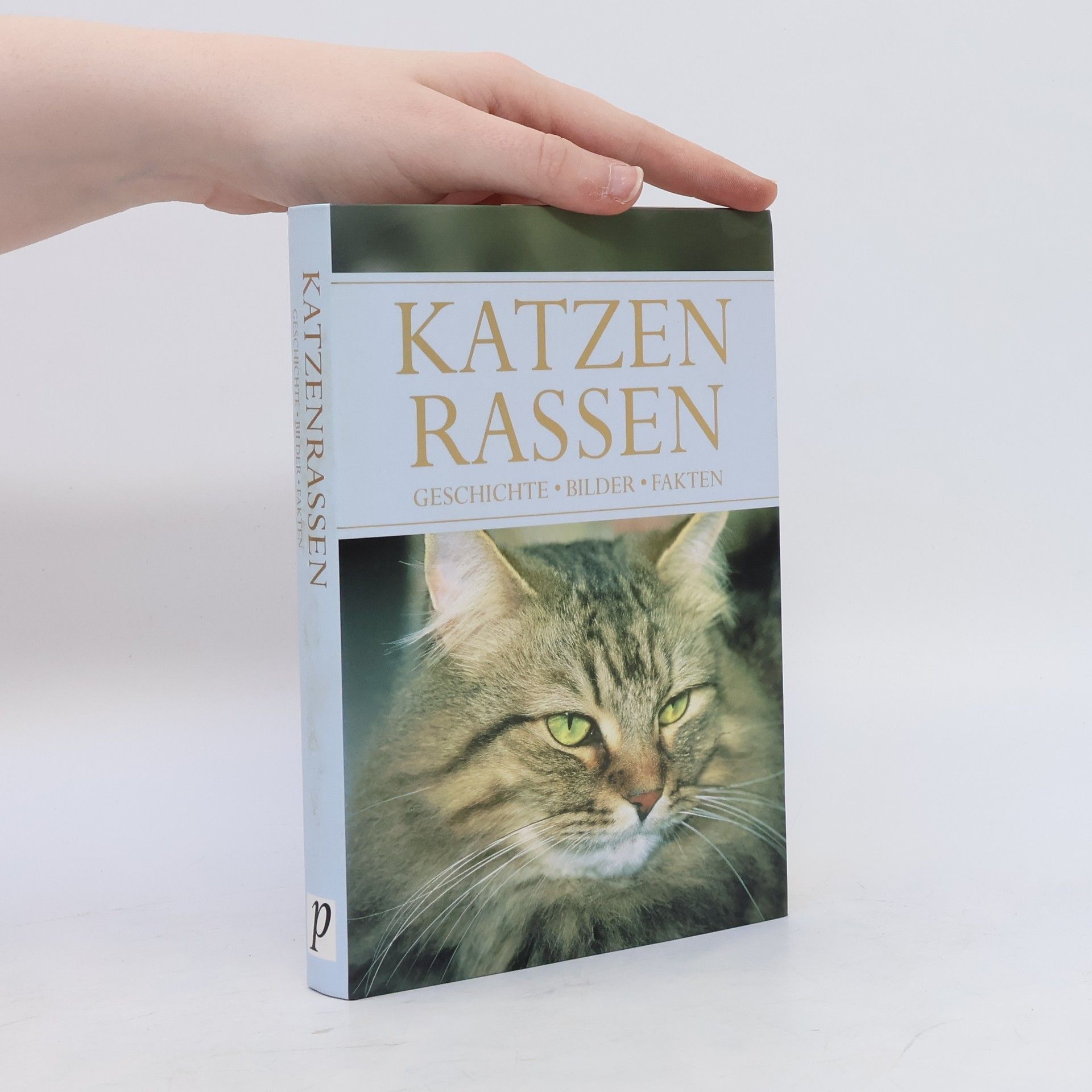 Collectif d'auteurs Katzenrassen