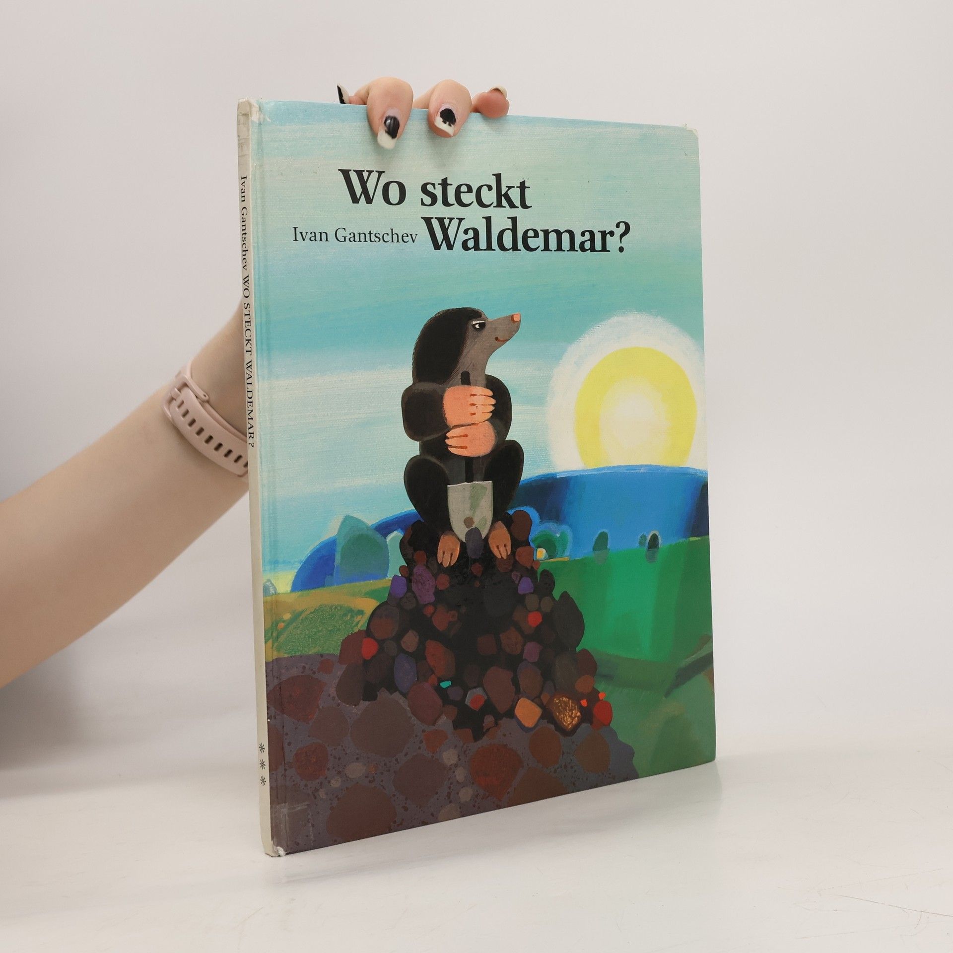 Ivan Gantschev Wo steckt Waldemar?