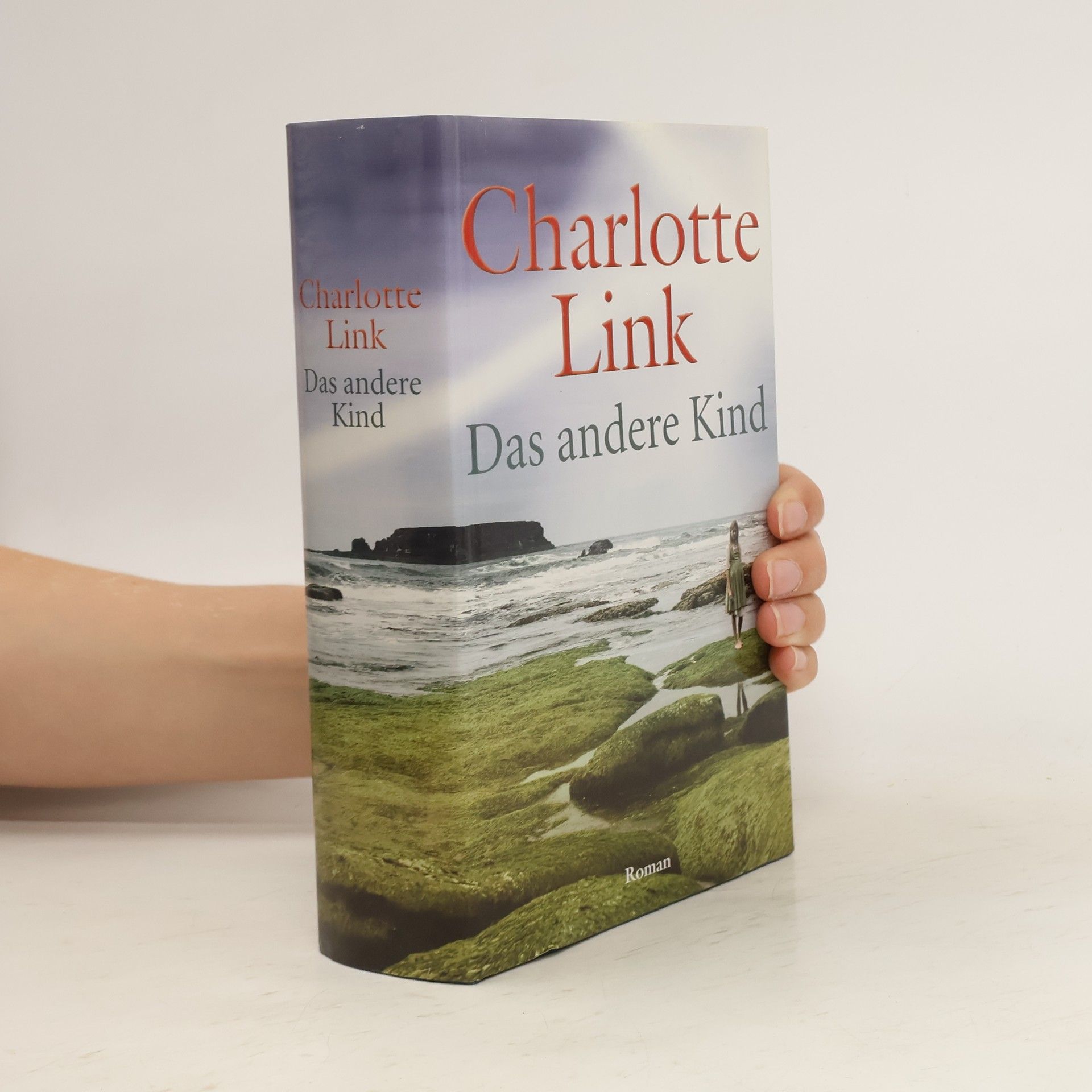Charlotte Link Das andere Kind