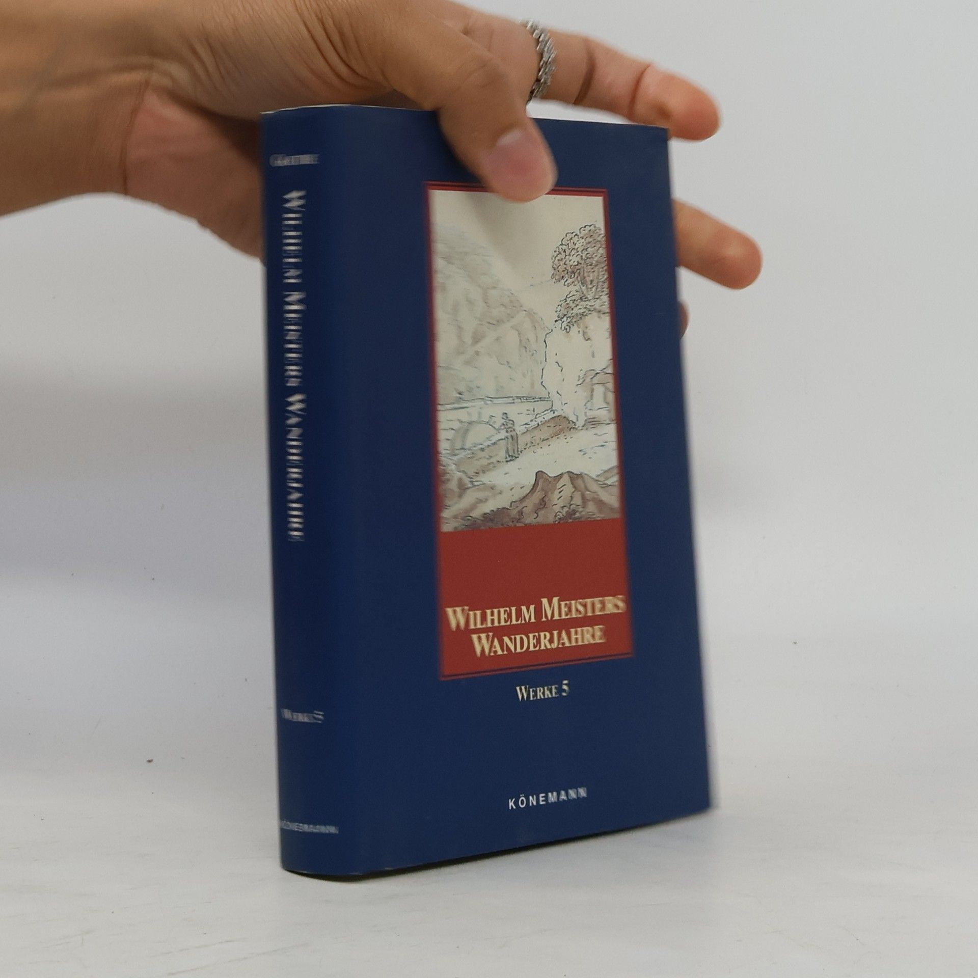 Johann Wolfgang von Goethe Wilhelm Meisters Wanderjahre oder die Entsagenden