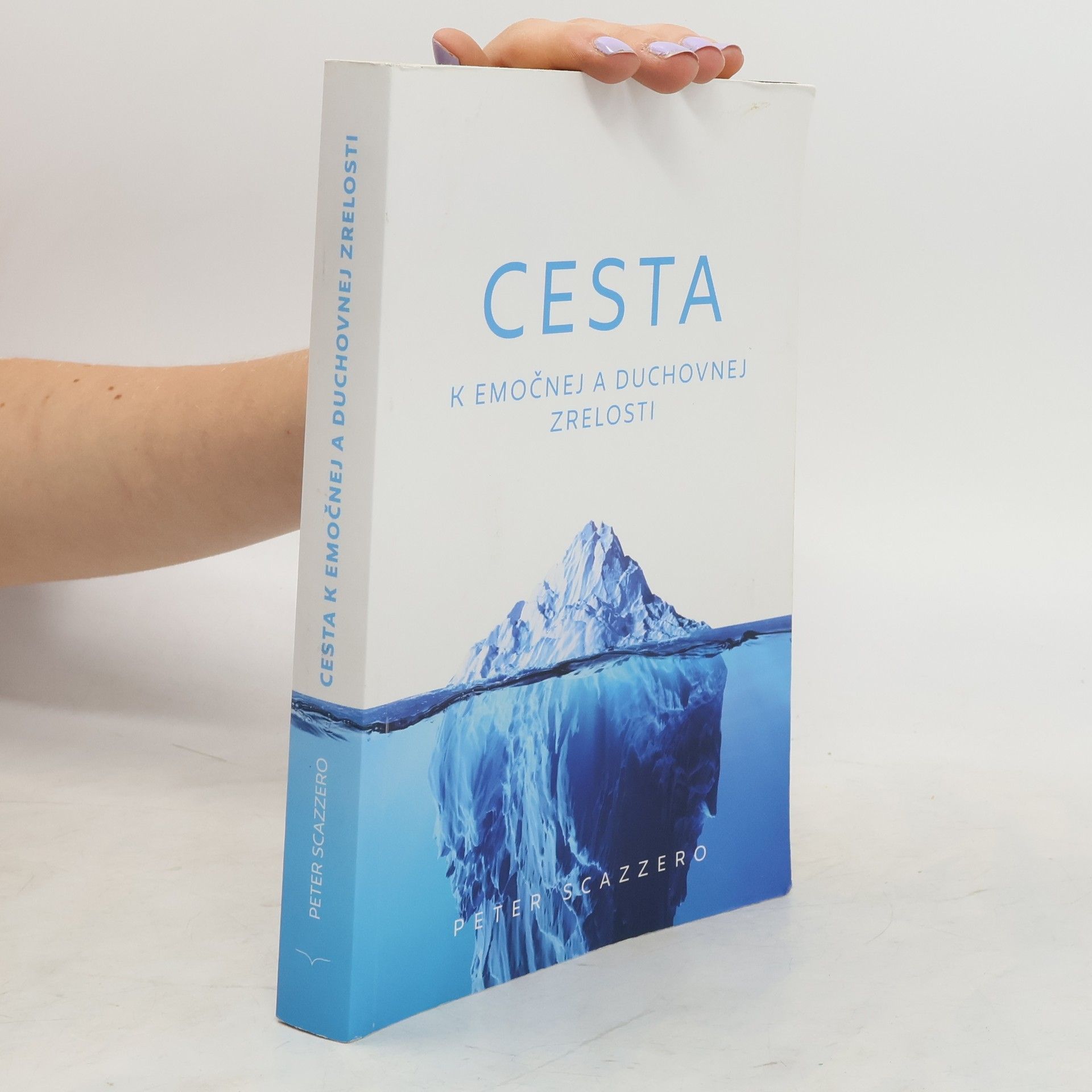 Peter Scazzero Cesta k emočnej a duchovnej zrelosti