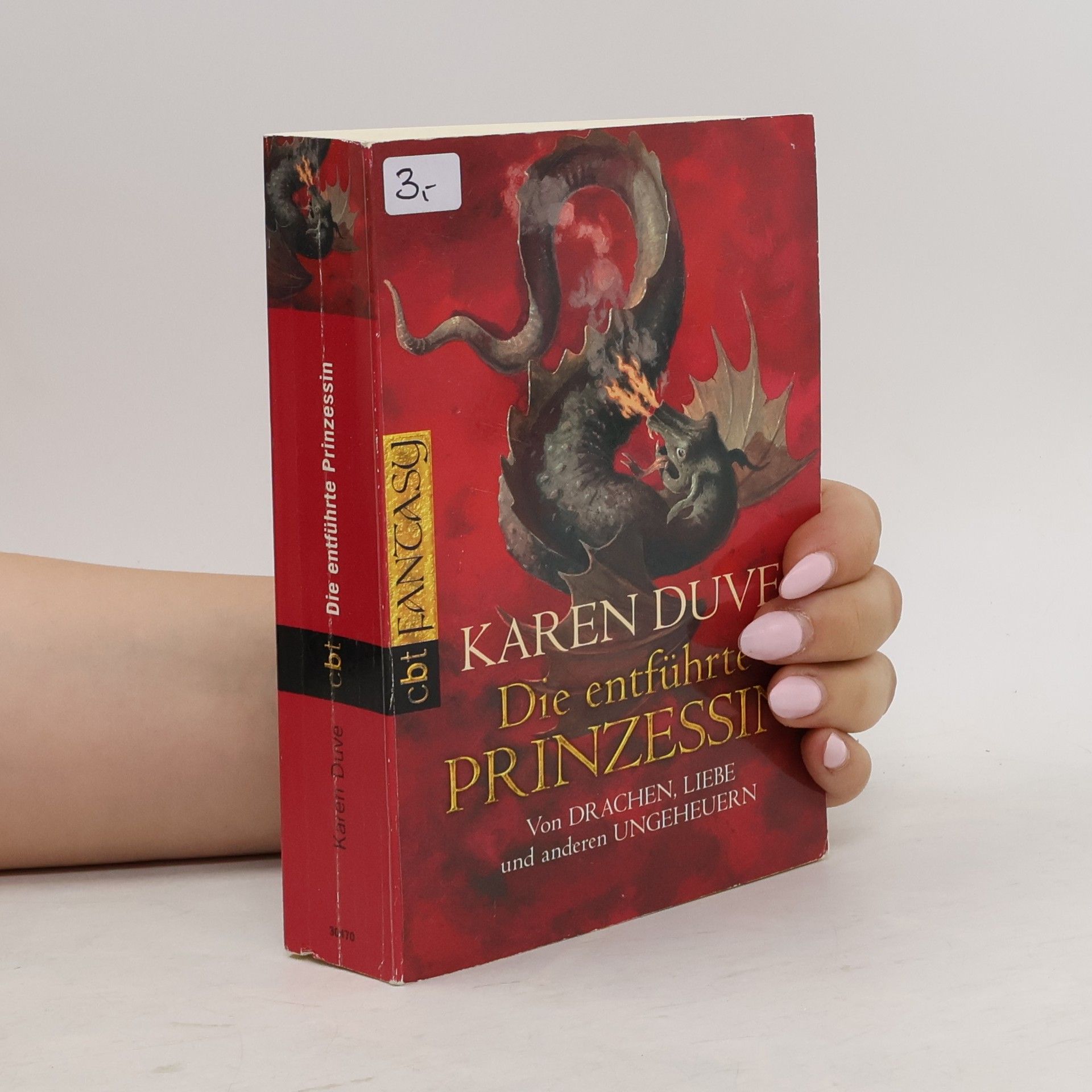 Karen Duve Die entführte Prinzessin