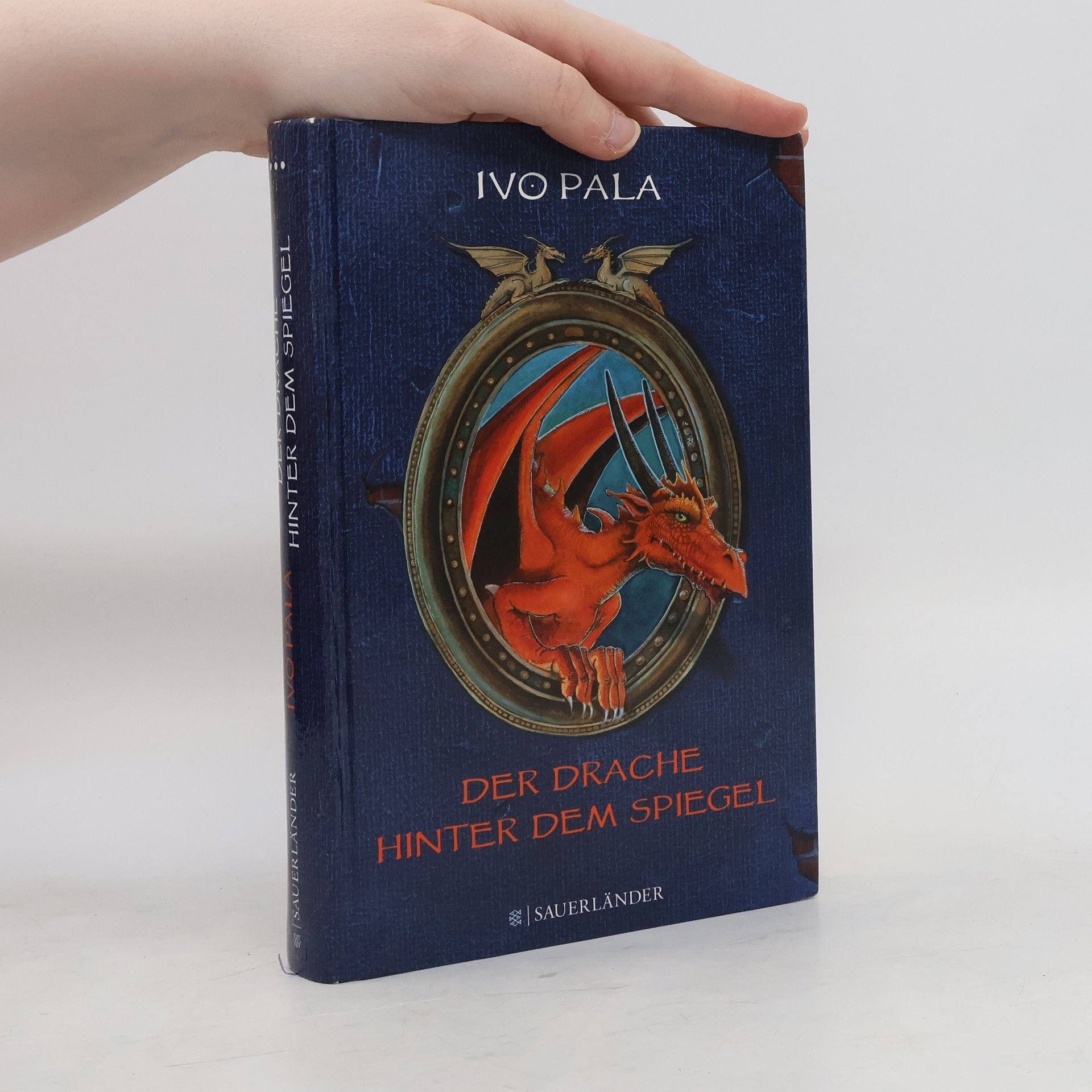 Ivo Pala Der Drache hinter dem Spiegel