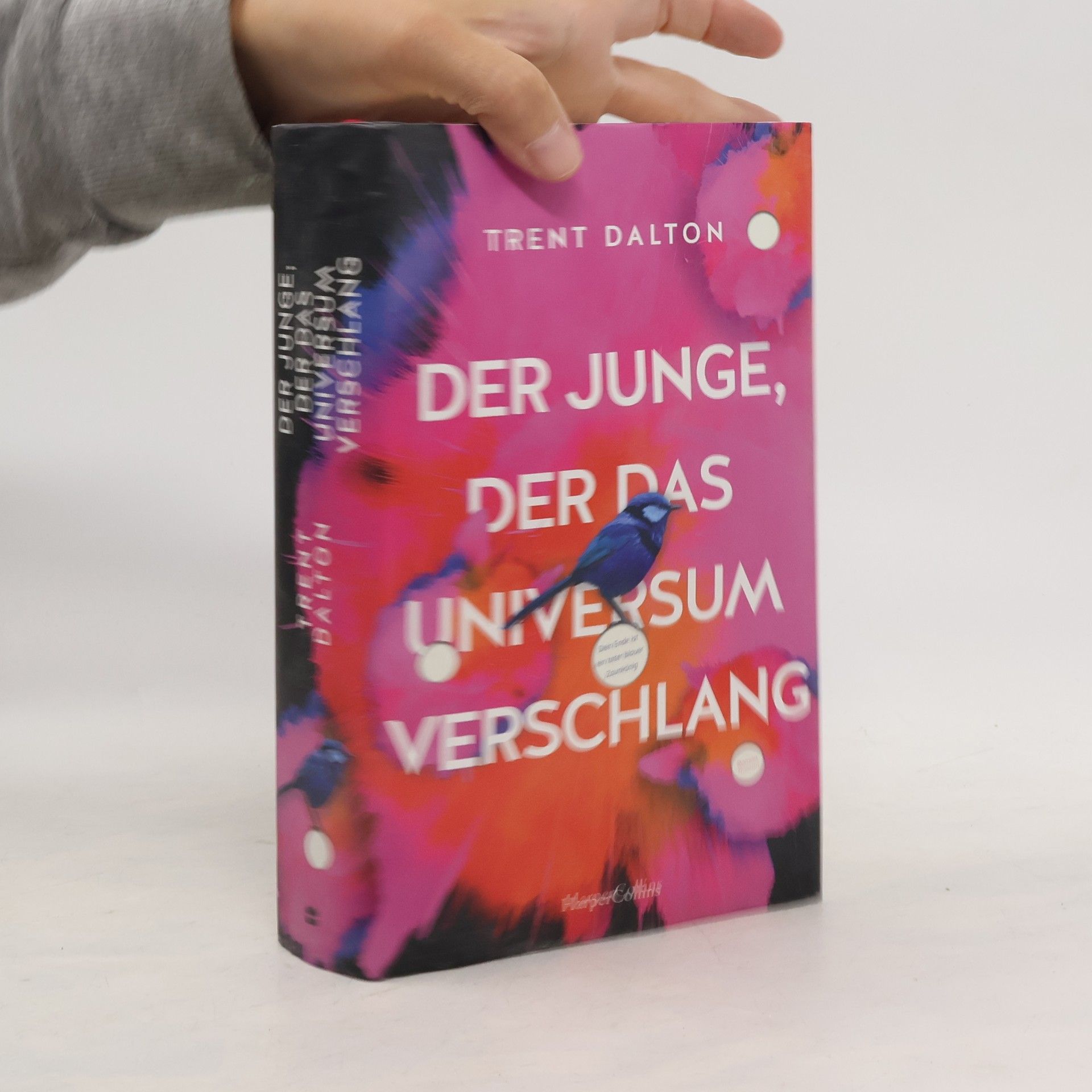 Trent Dalton Der Junge, der das Universum verschlang