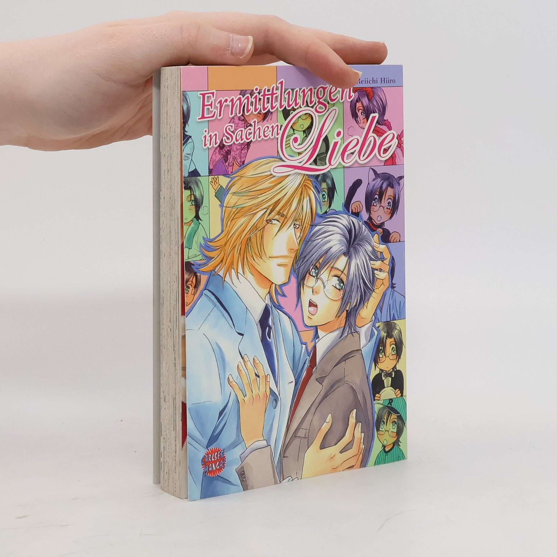 Reiichi Hiiro Ermittlungen in Sachen Liebe