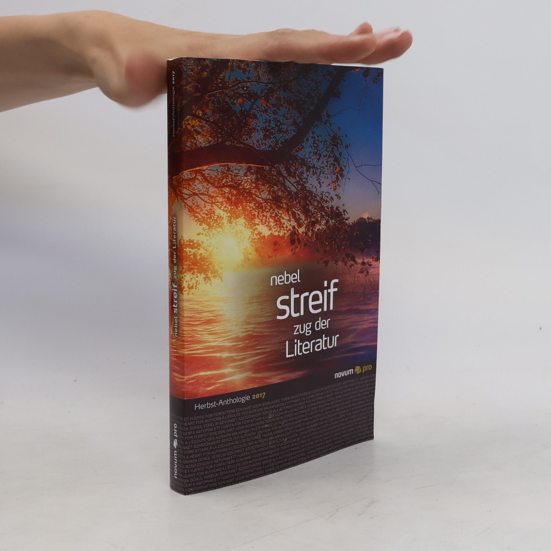 Collectif d'auteurs Nebel streif zug der Literatur
