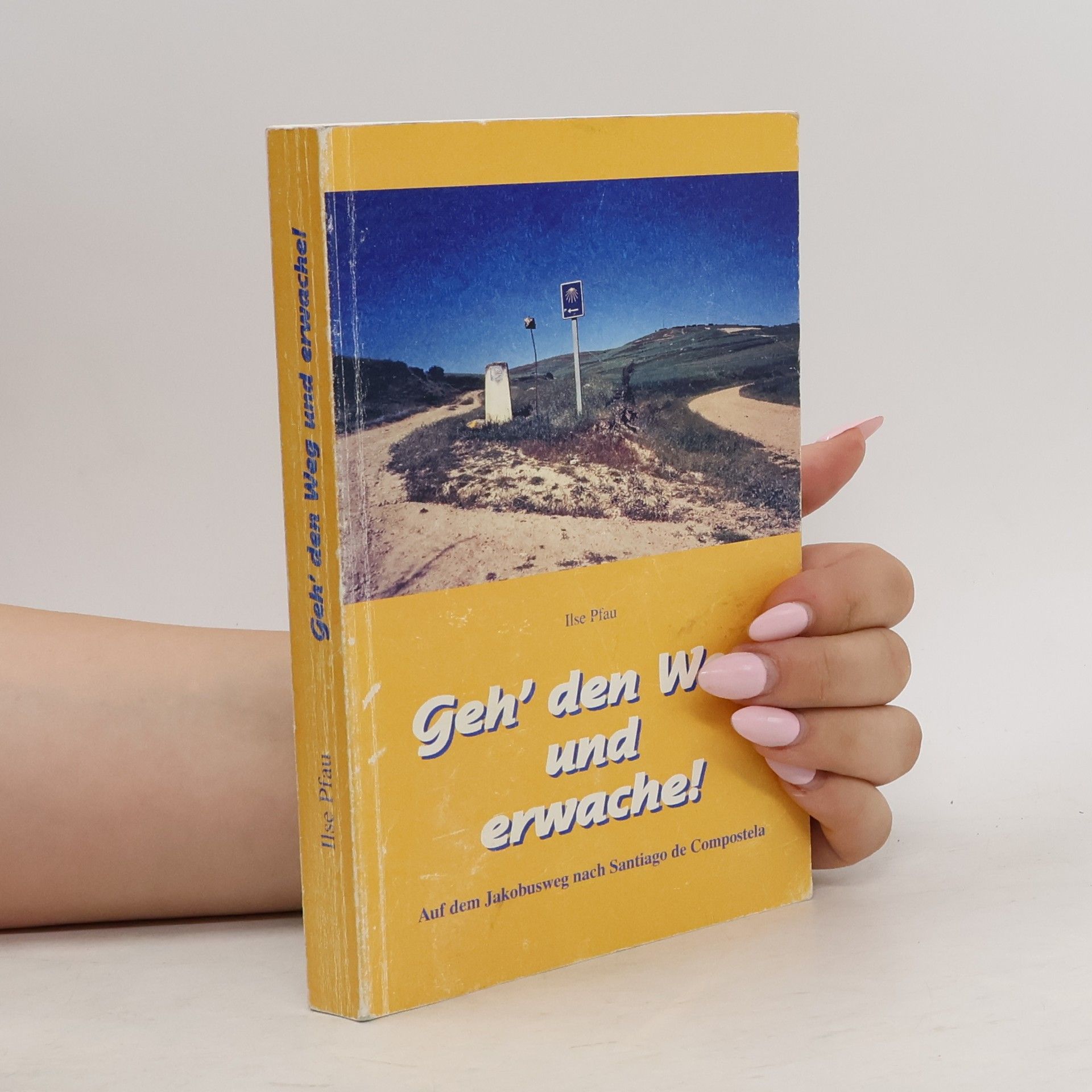 Ilse Pfau Geh´ den Weg und erwache