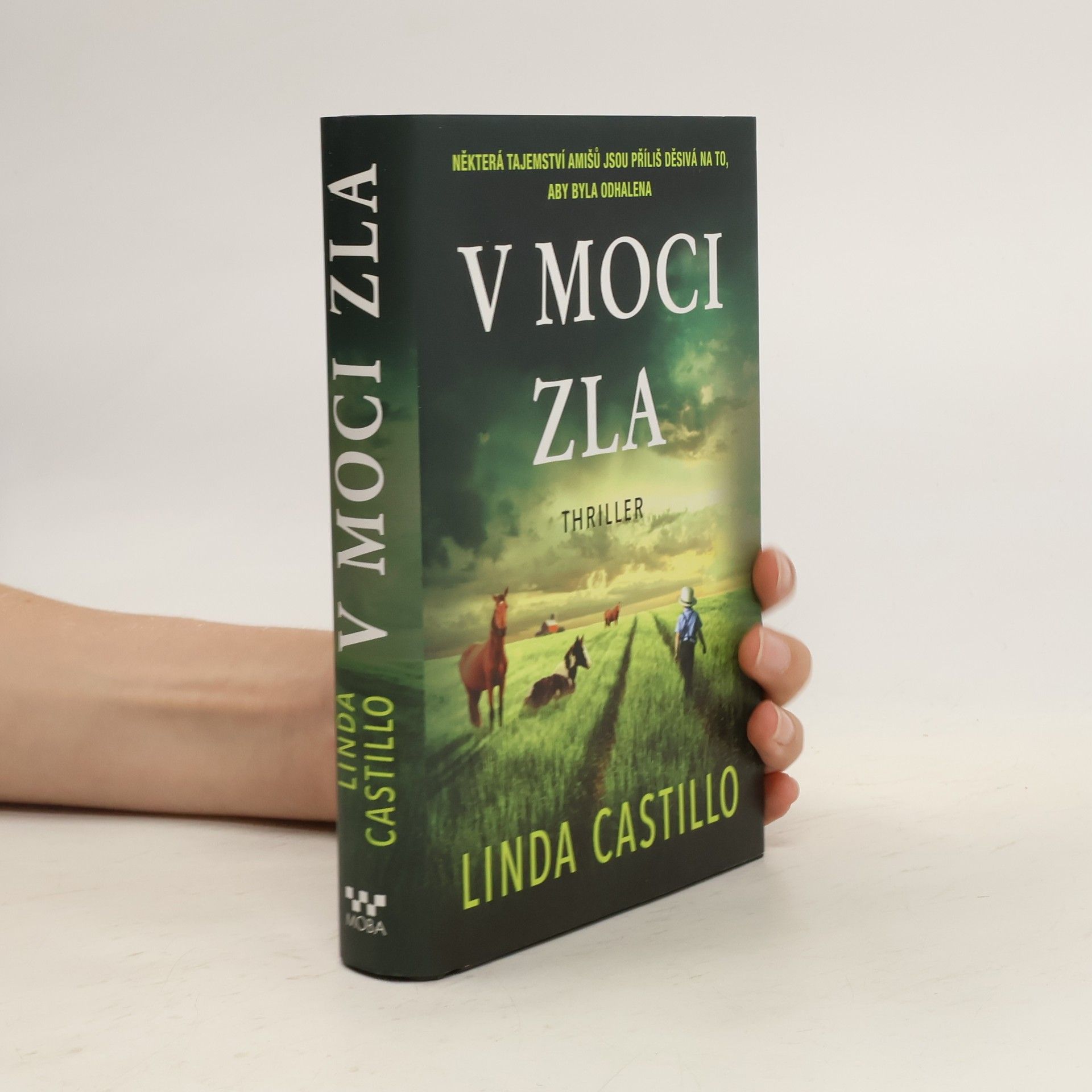 Linda Castillo V moci zla