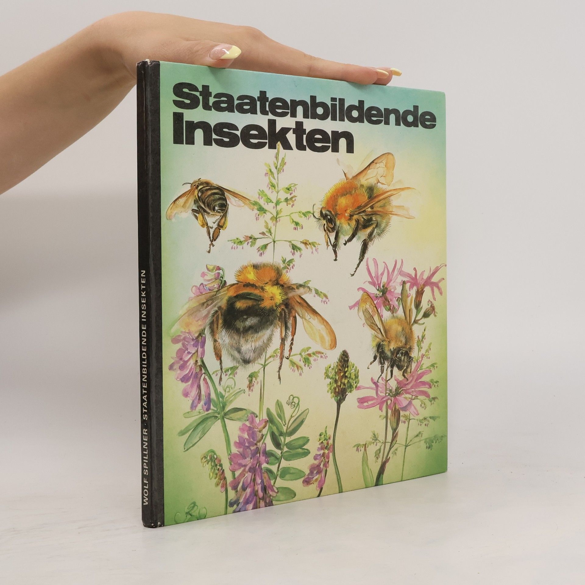 Wolf Spillner Staatenbildende Insekten