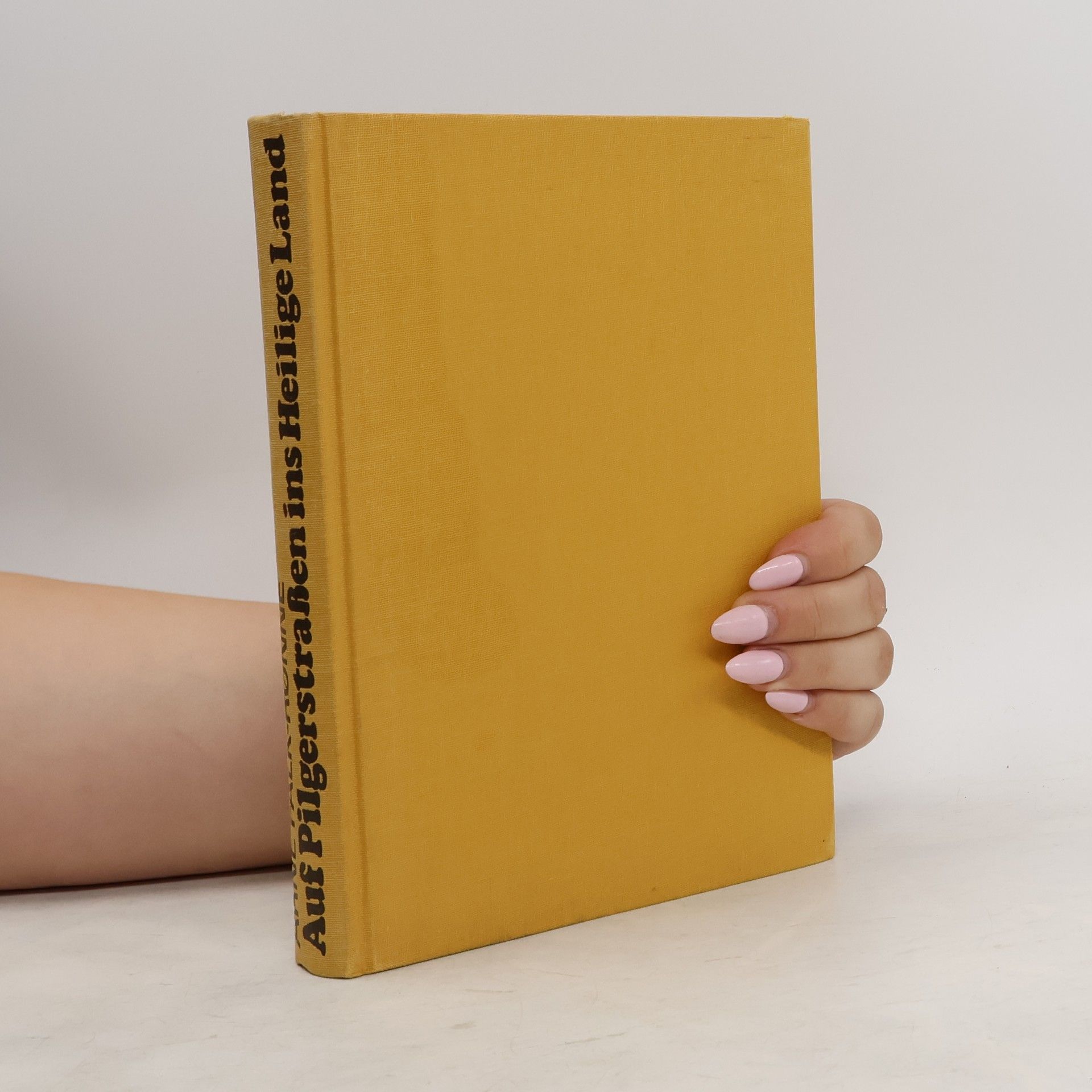 Auteurscollectief Auf Pilgerstraßen ins Heilige Land