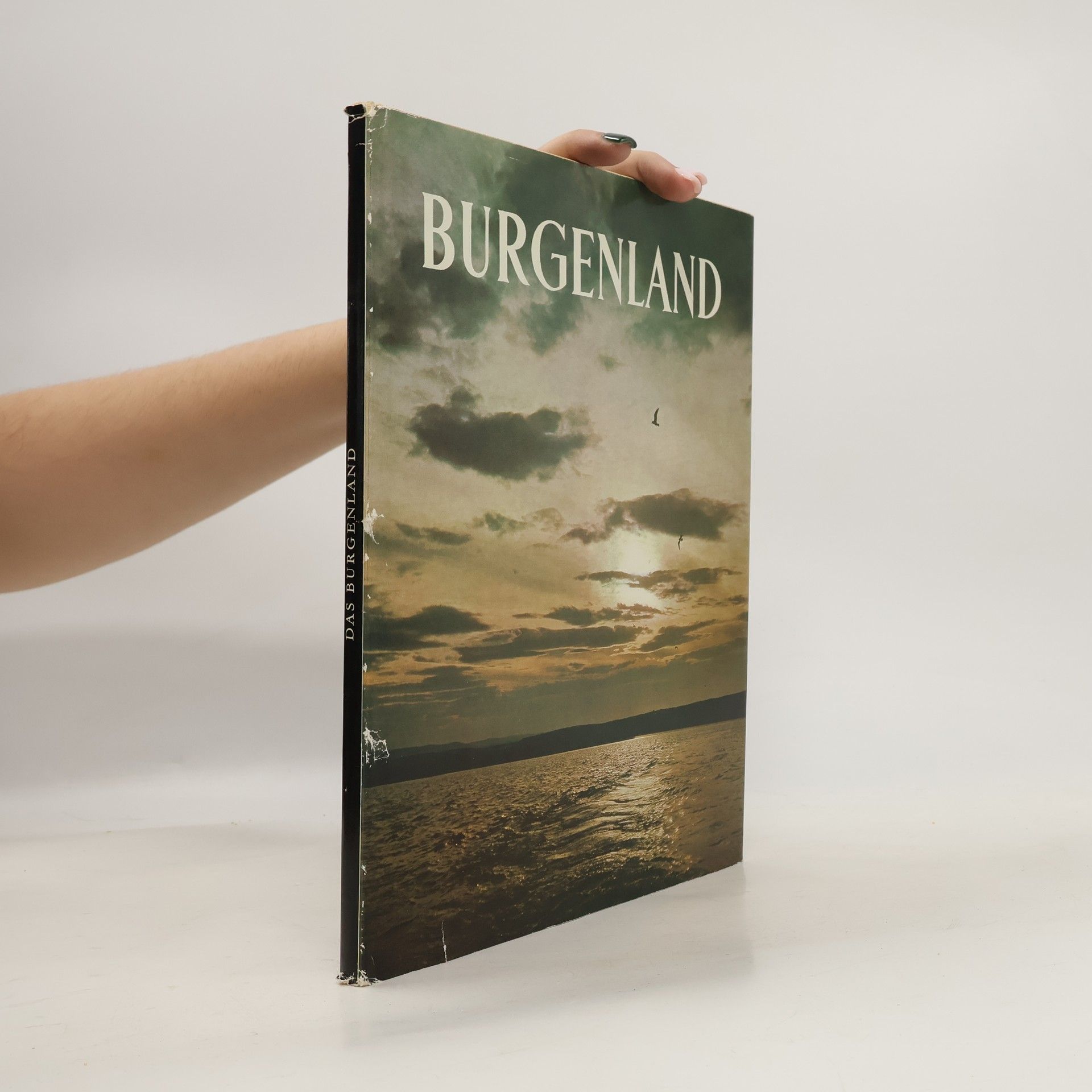 Autorenkollektiv Burgenland