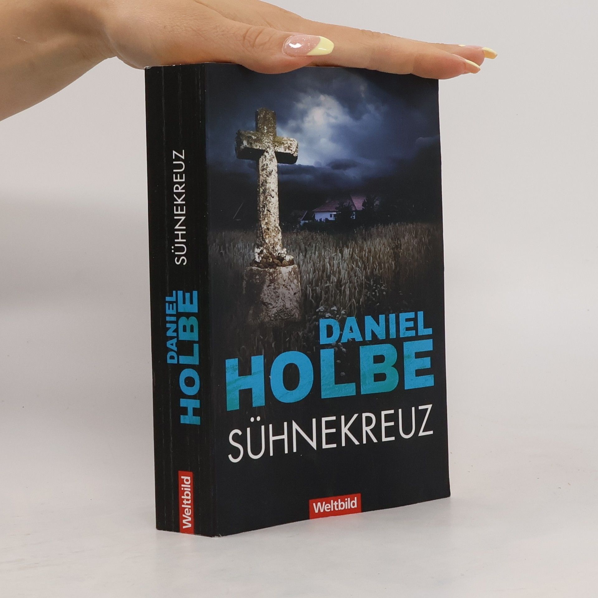 Daniel Holbe Sühnekreuz