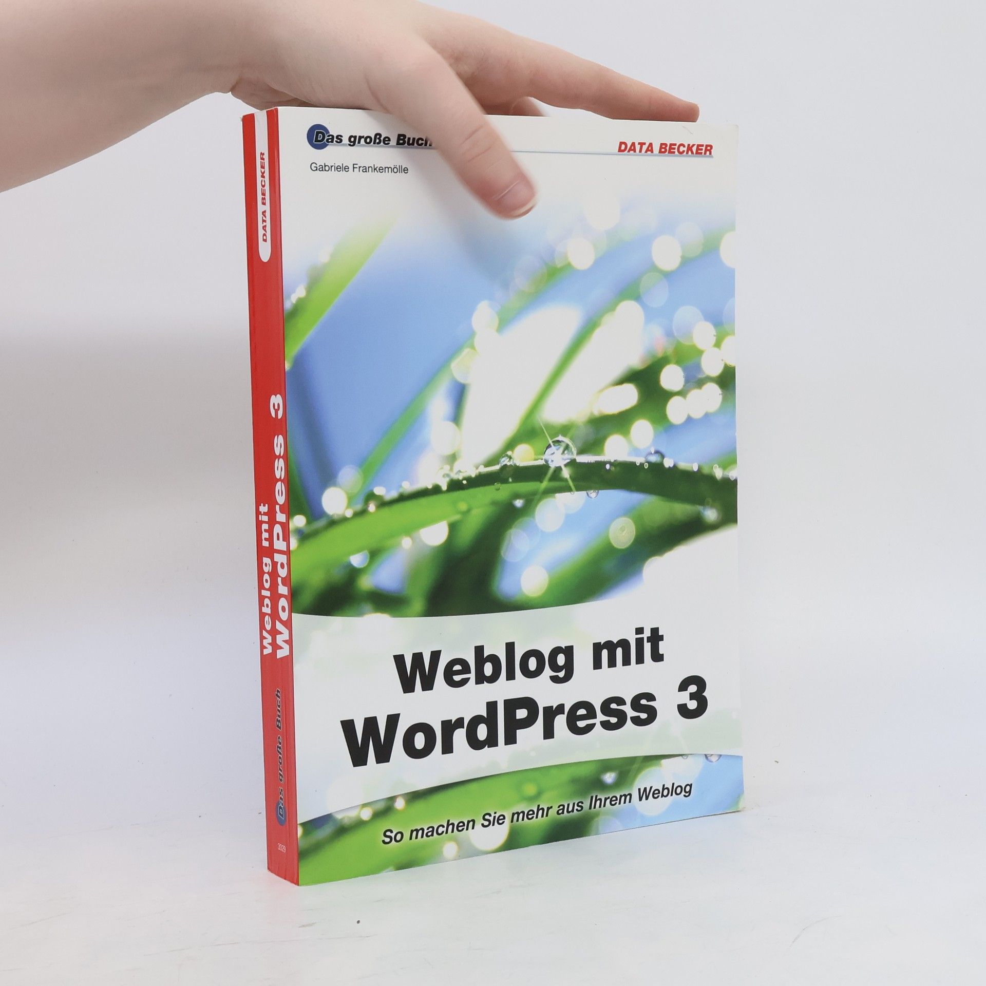 Gabi Frankemölle Weblog mit WordPress 3