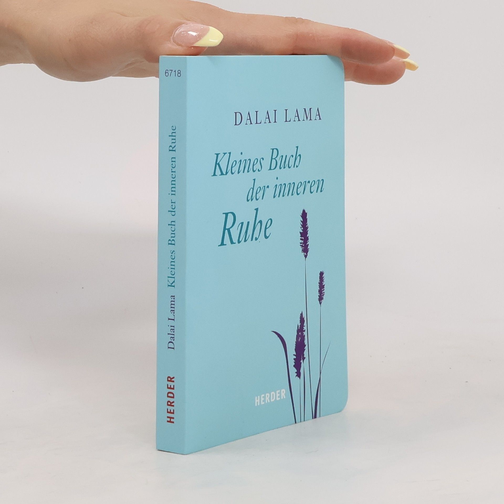 Dalajlama Kleines Buch der inneren Ruhe