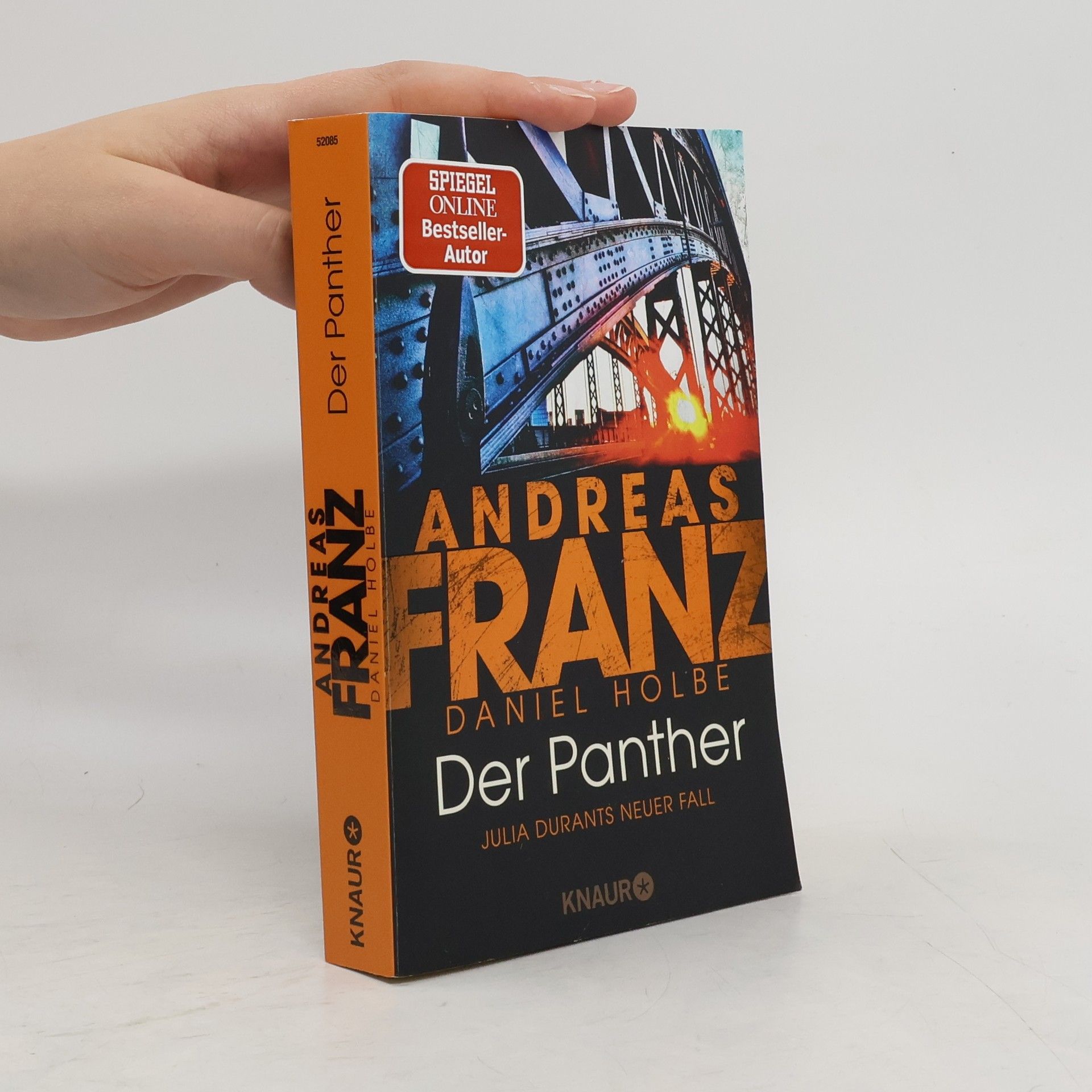 Der Panther