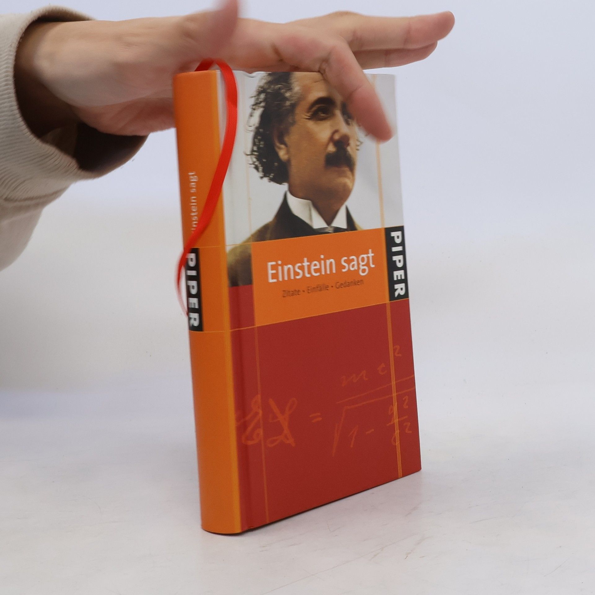 Albert Einstein Einstein sagt
