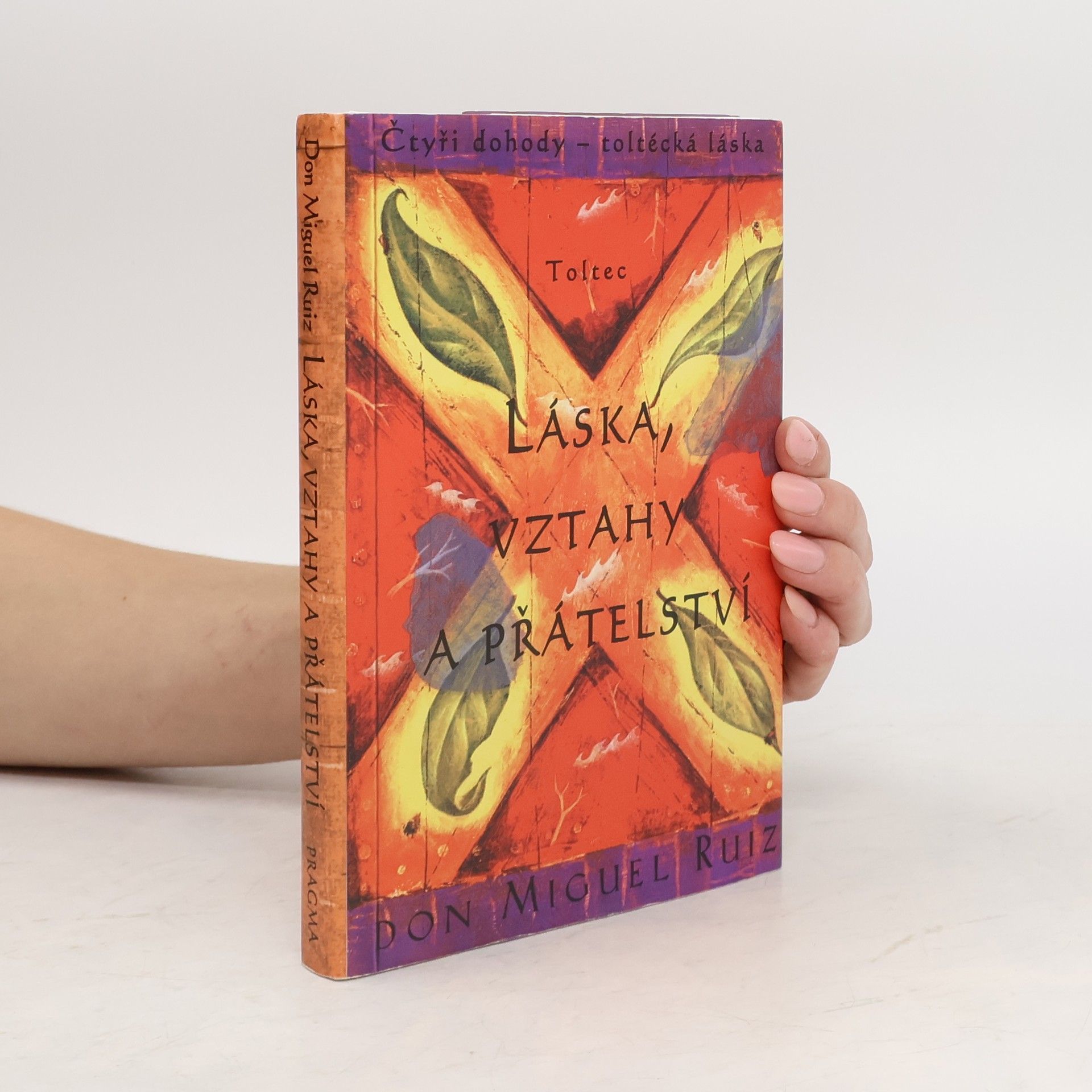 Don Miguel Ruiz Láska, vztahy a přátelství