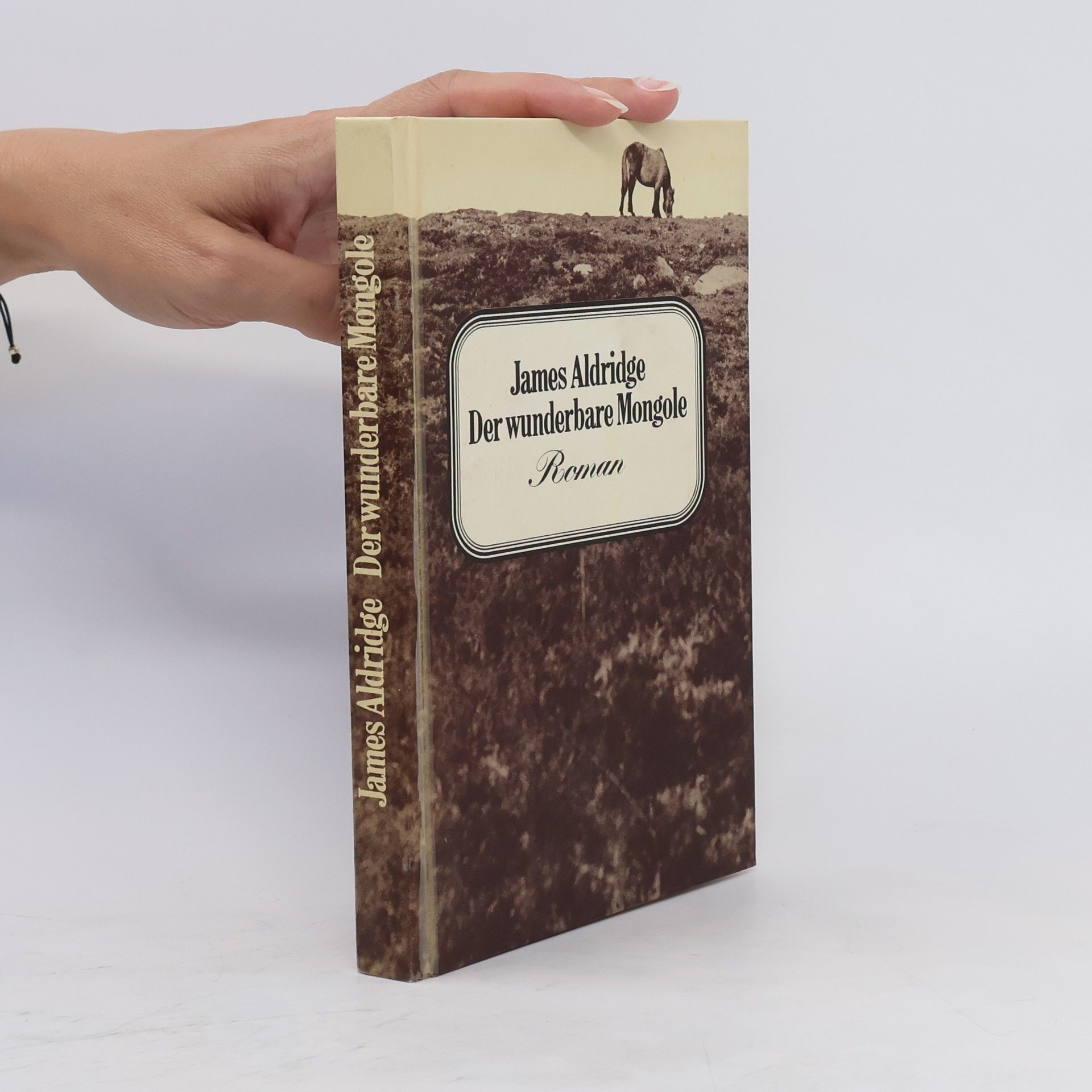 James Aldridge Der wunderbare Mongole