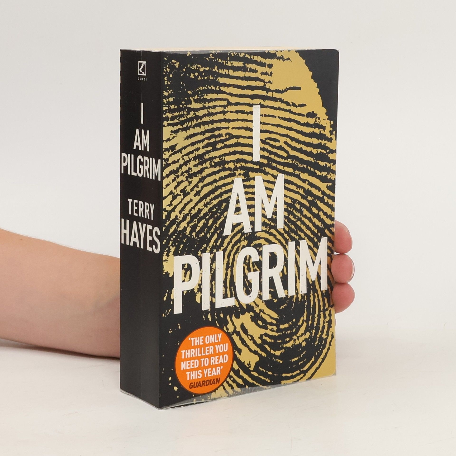 Terry Hayes I am Pilgrim