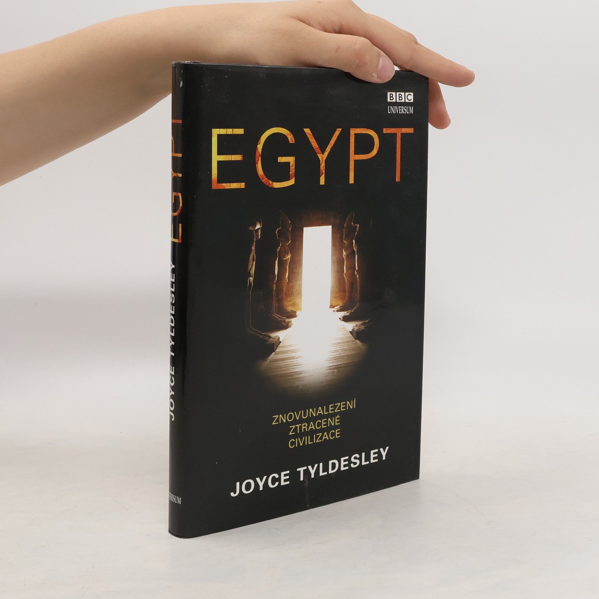 Joyce Tyldesley Egypt: Znovunalezení ztracené civilizace