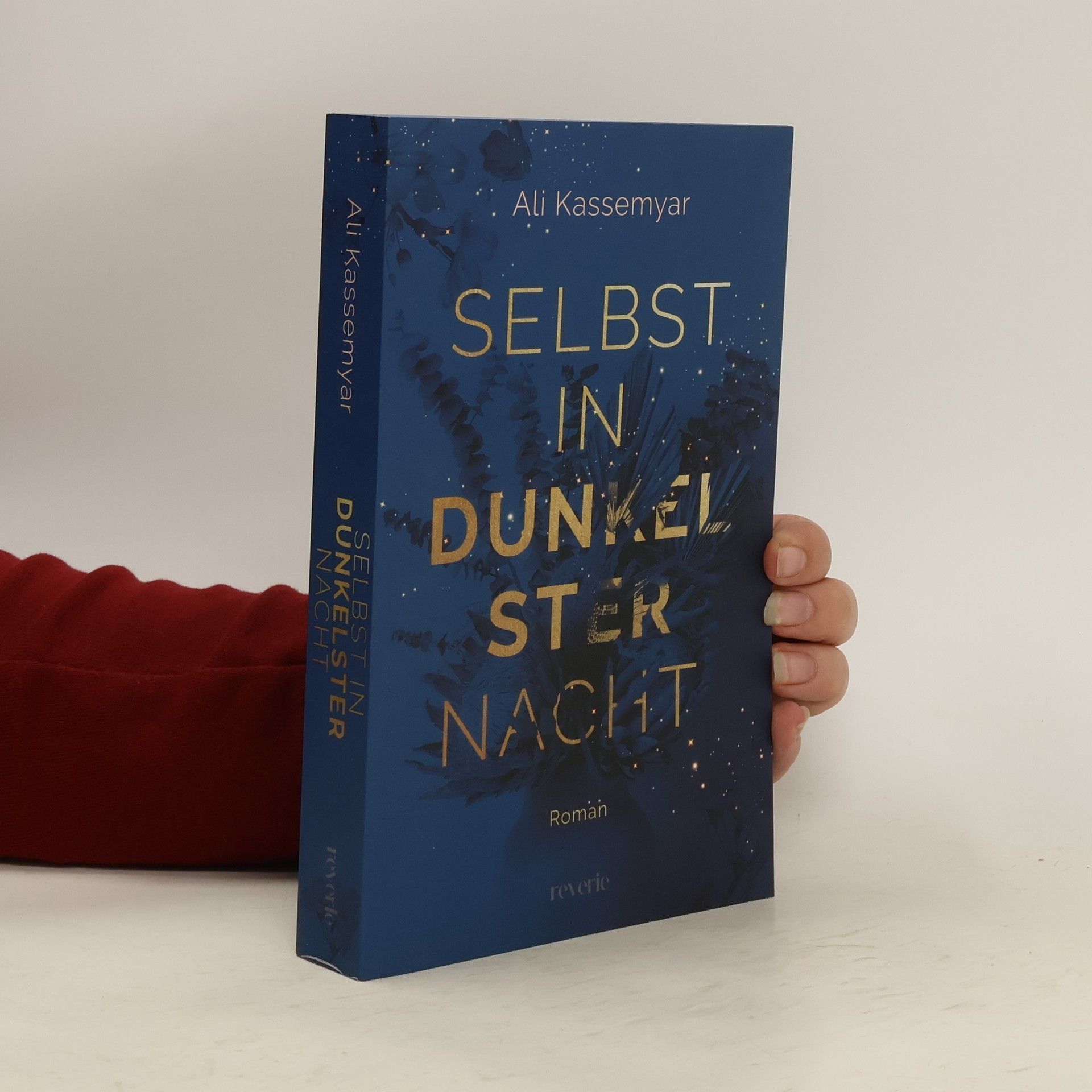 Ali Kassemyar Selbst in dunkelster Nacht