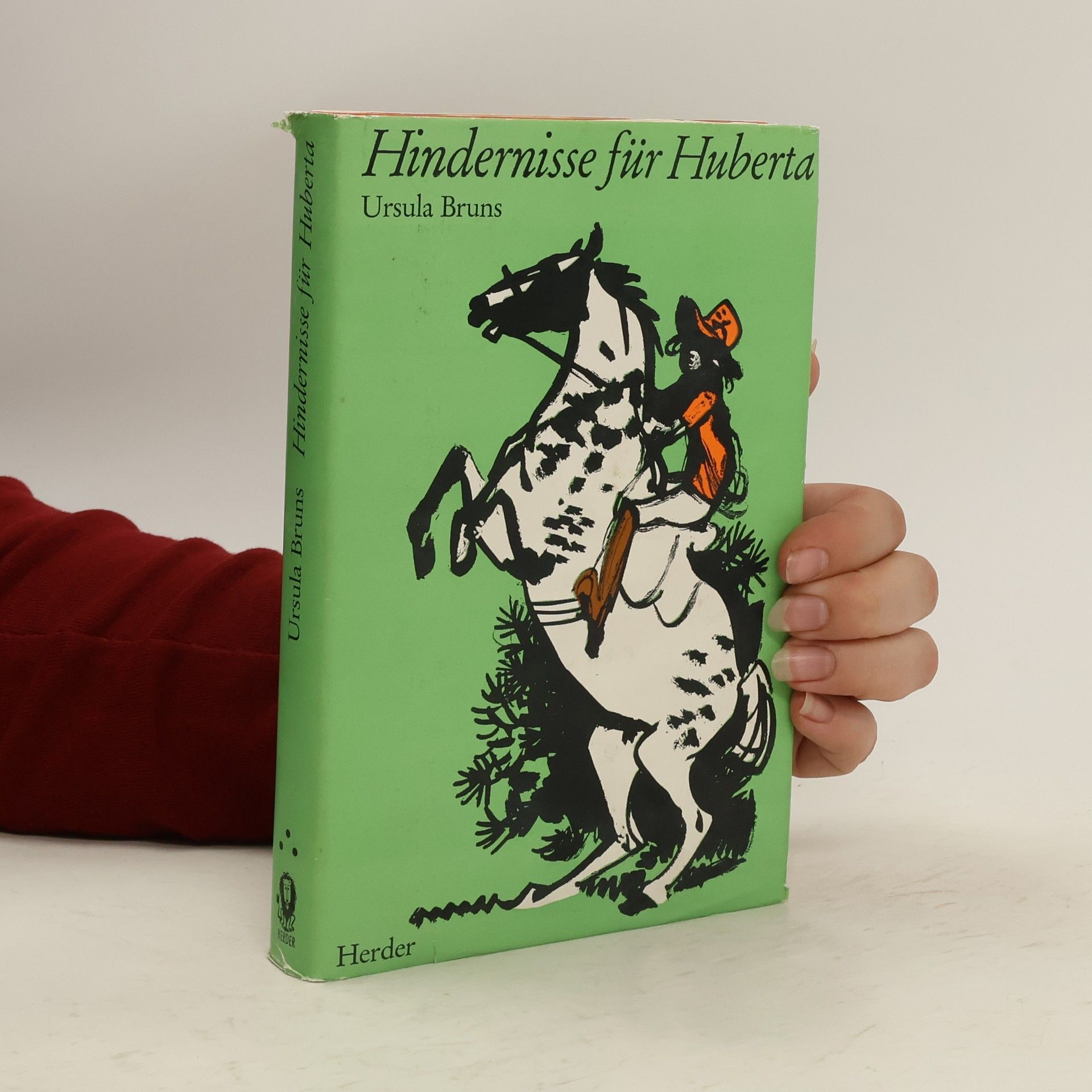 Ursula Bruns Hindernisse für Huberta
