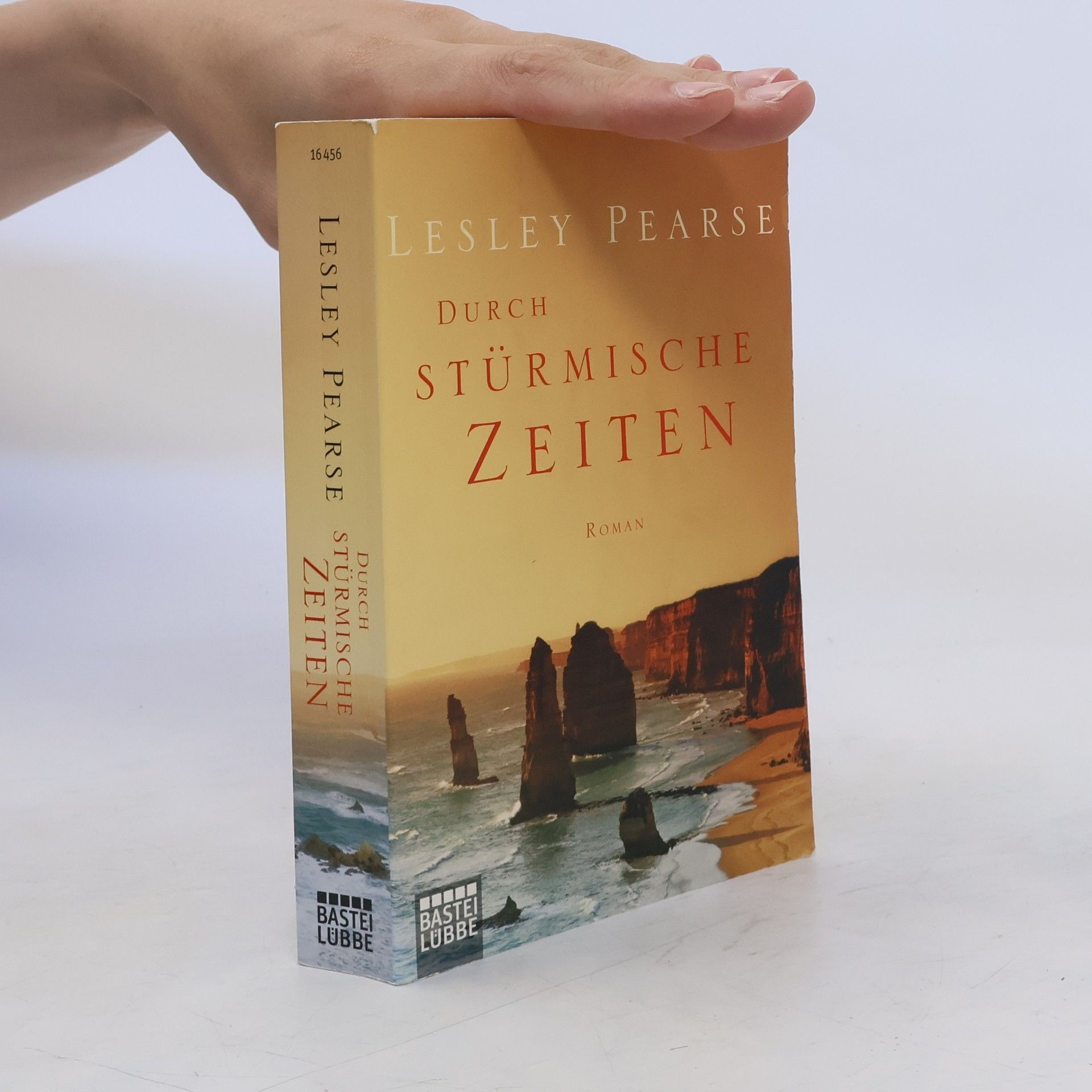 Lesley Pearse Durch stürmische Zeiten