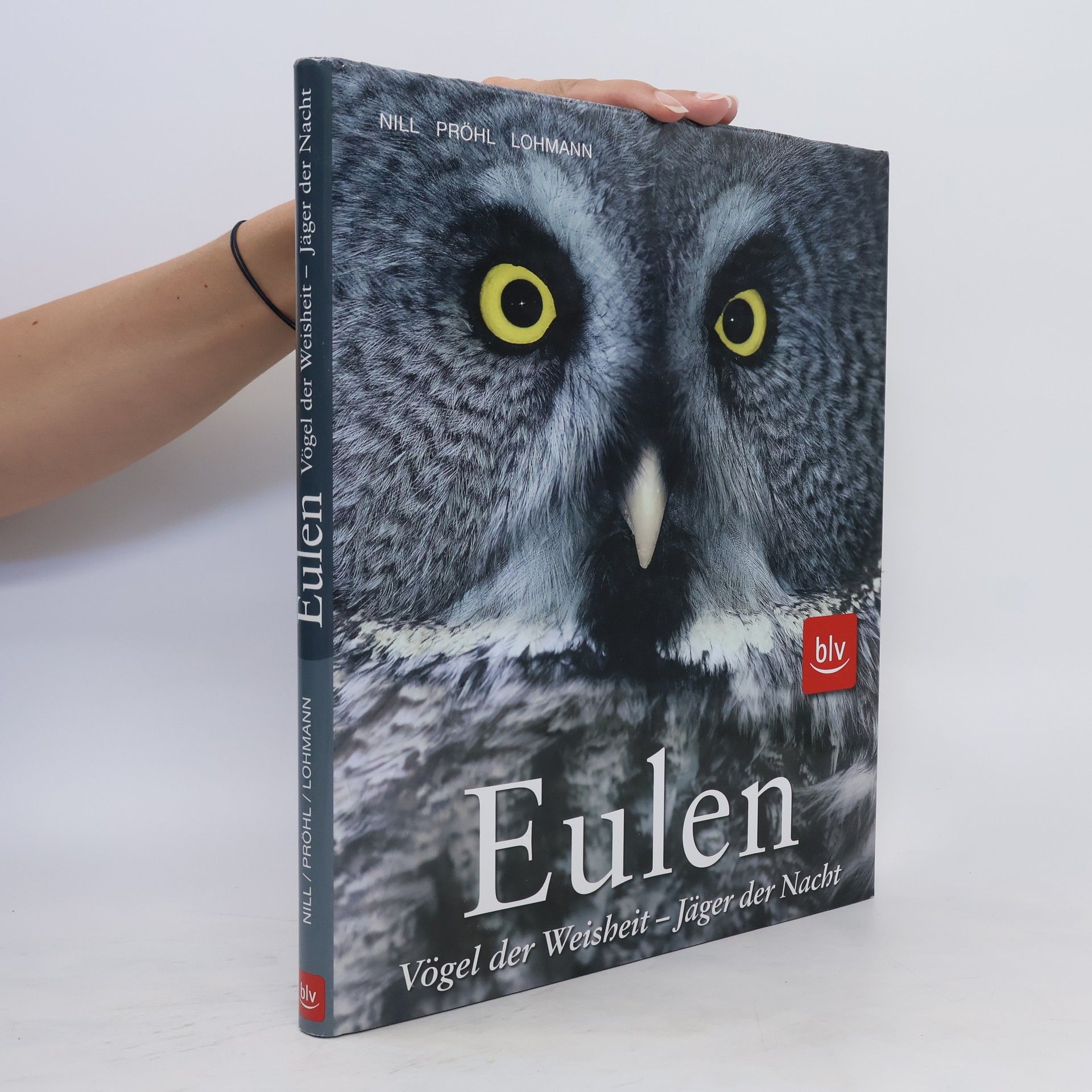 Dietmar Nill Eulen