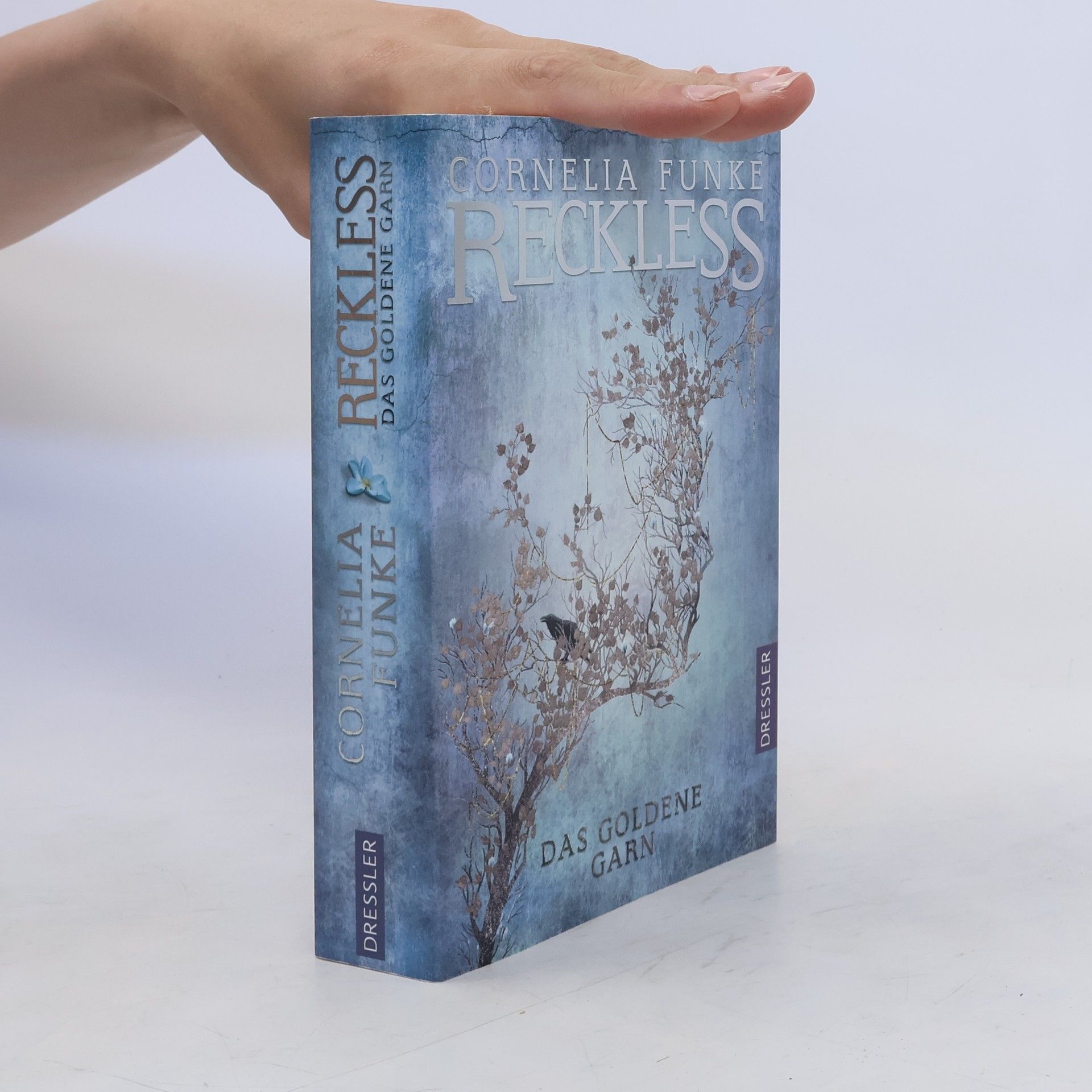 Cornelia Funke Reckless 3. Das goldene Garn