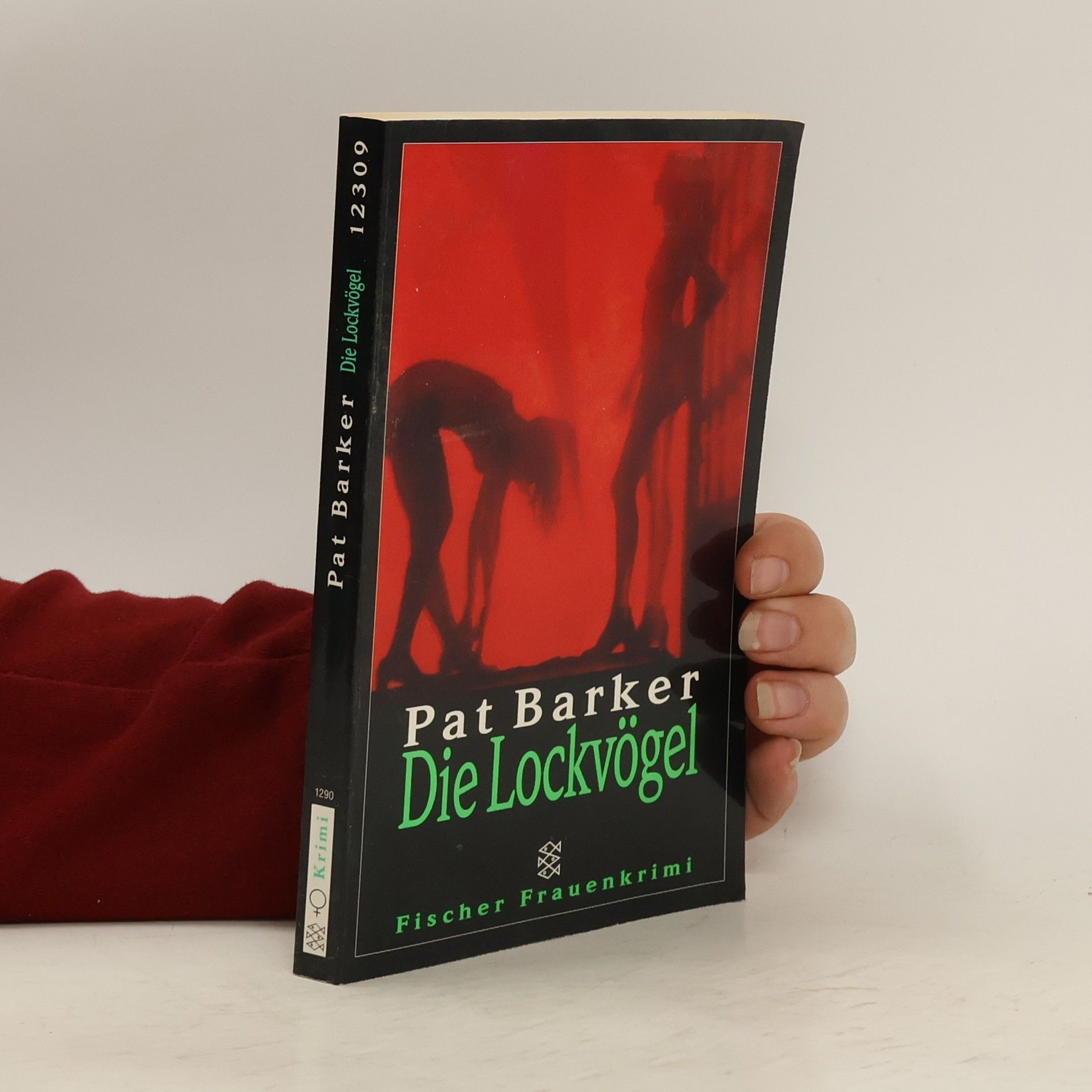 Pat Barker Die Lockvögel