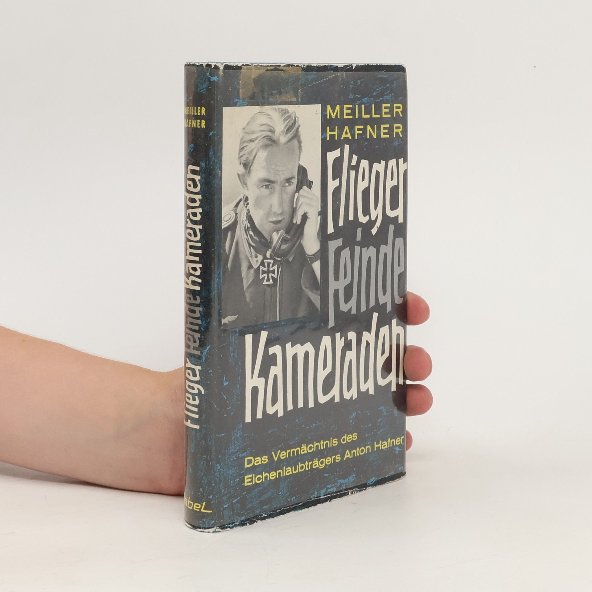 Franz Meiller Flieger, Feinde, Kameraden