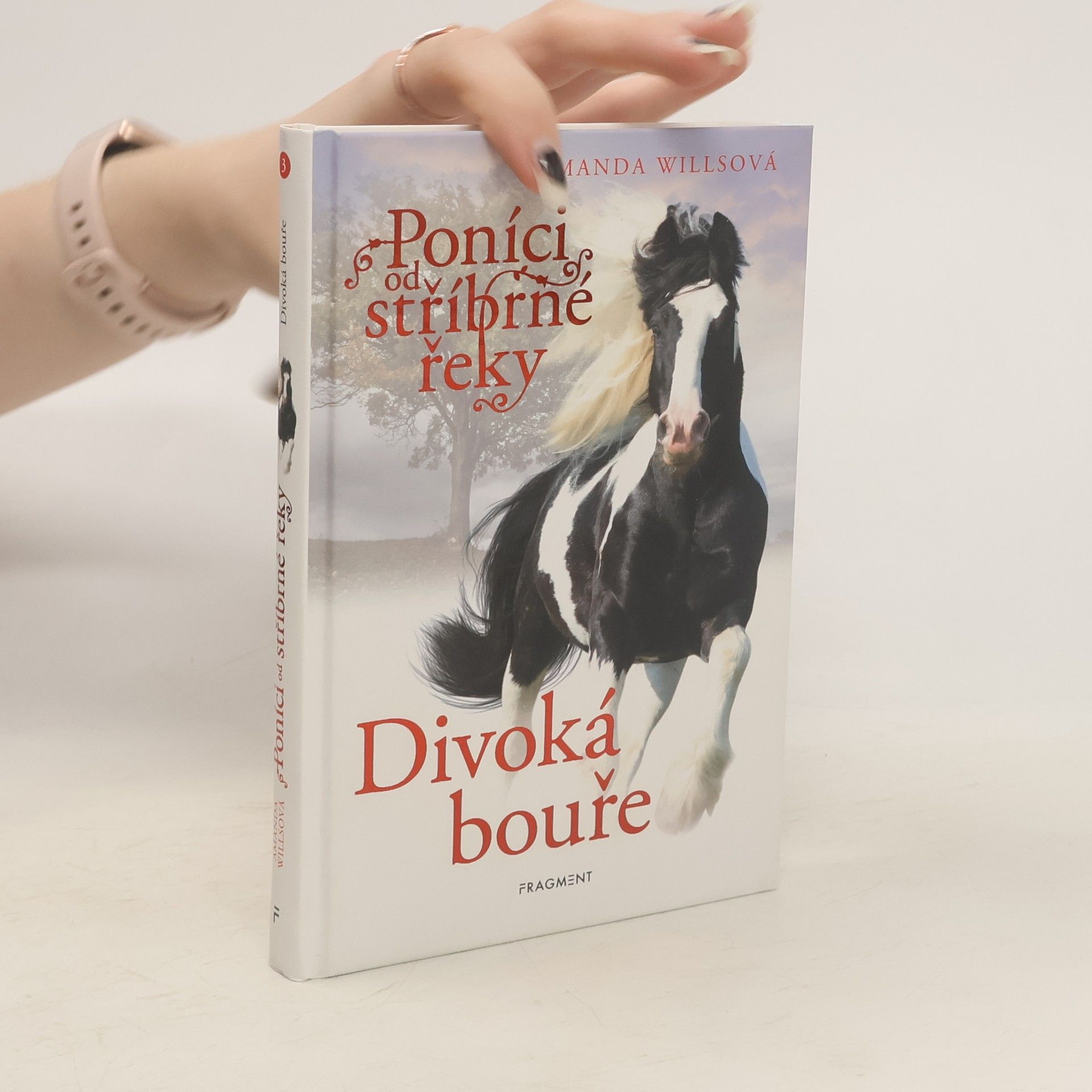 Amanda Wills Divoká bouře