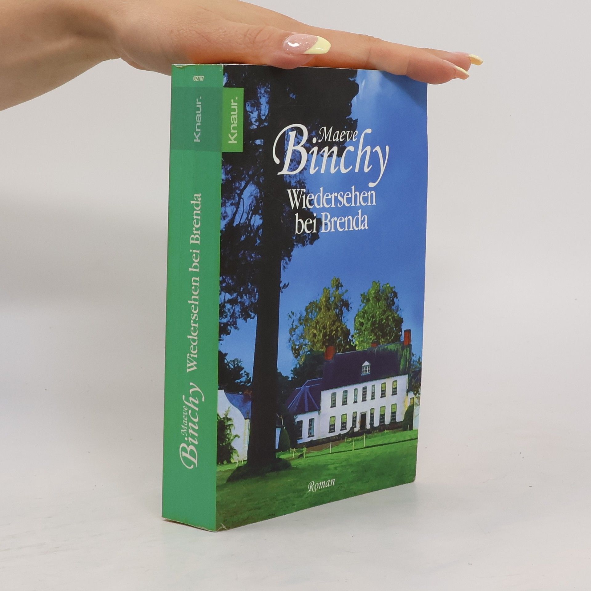 Maeve Binchy Wiedersehen bei Brenda
